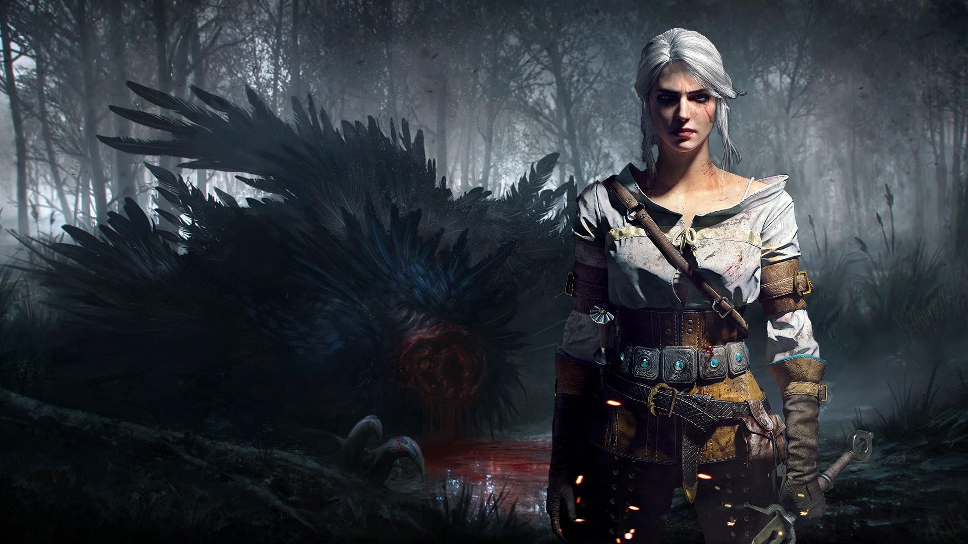video games, Cirilla Fiona Elen Riannon, The Witcher 3: Wild Hunt, HD Wallpaper
