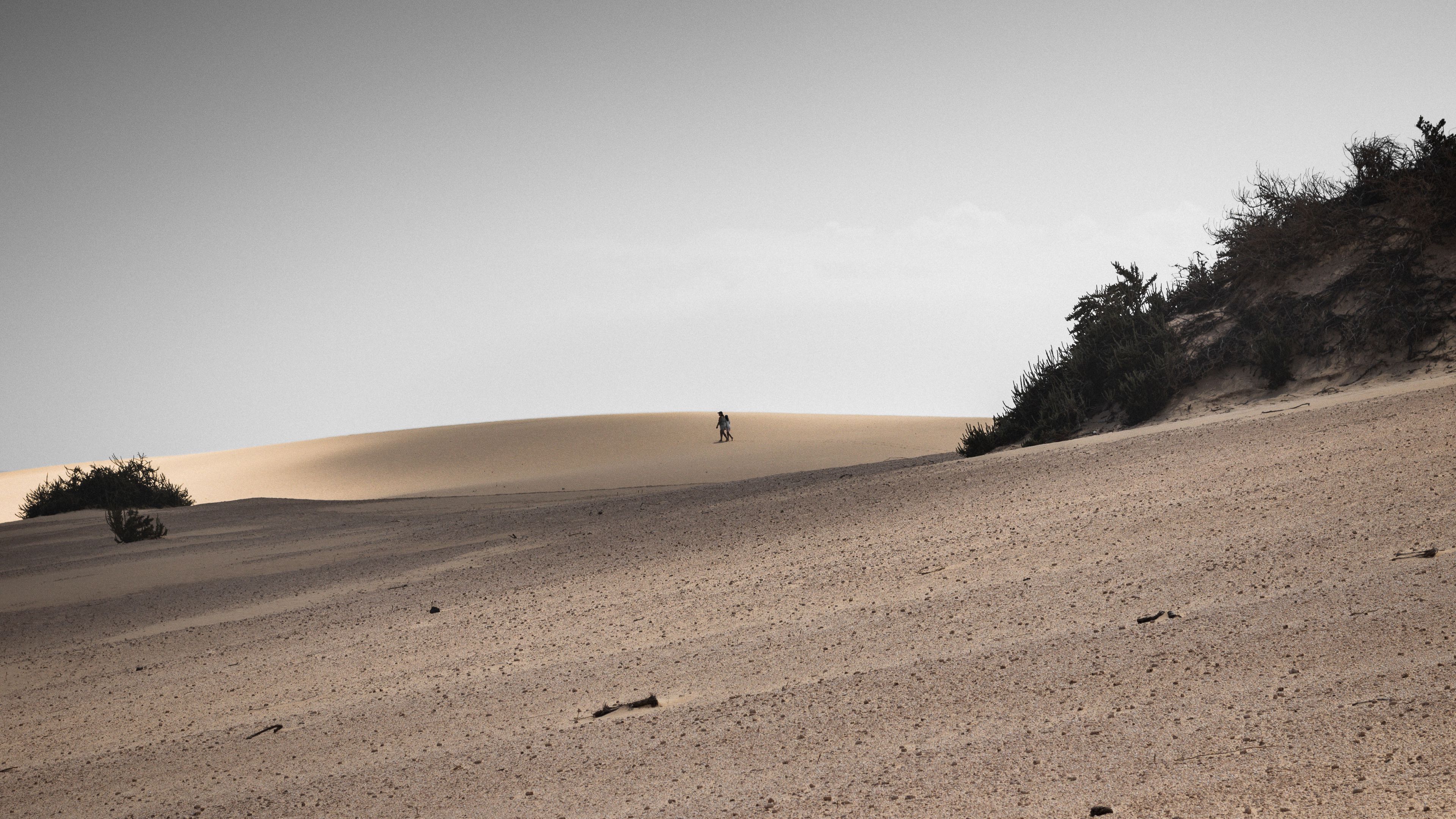 desert, sand, landscape, hilly, silhouettes, 4k, HD Wallpaper