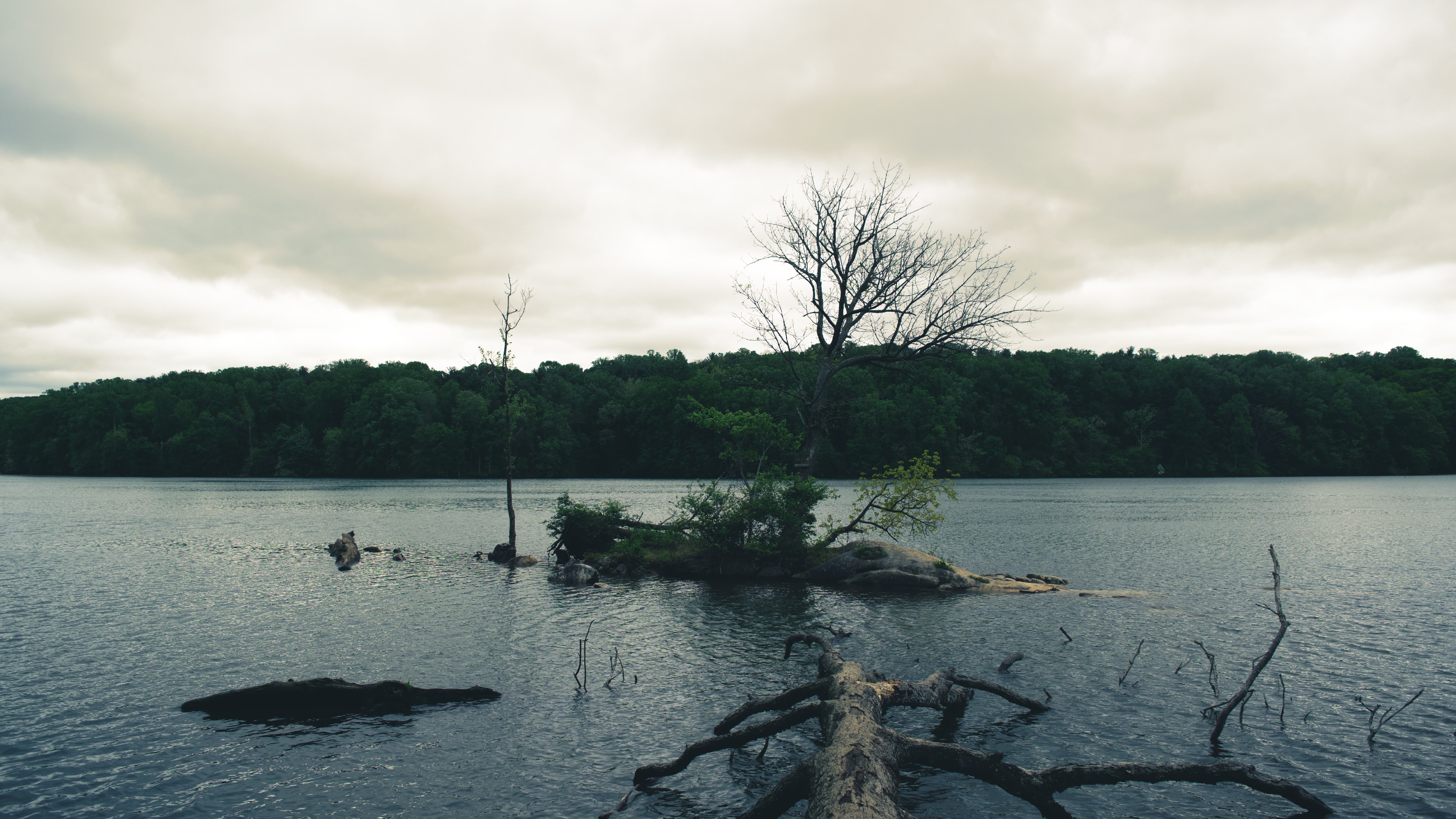 nature, island, outdoors, water, trees, HD Wallpaper