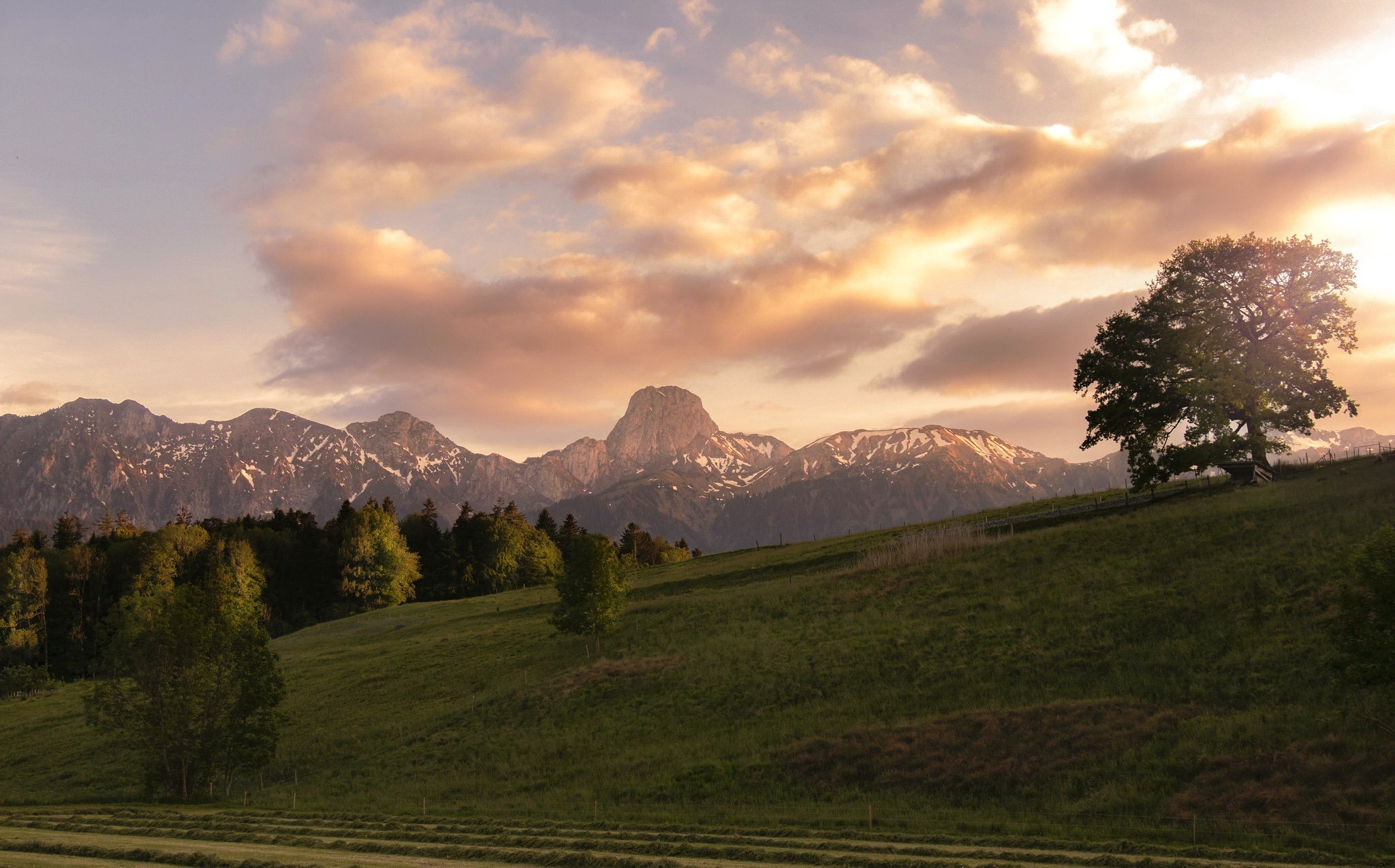 landscape, sky, sunlight, trees, HD Wallpaper