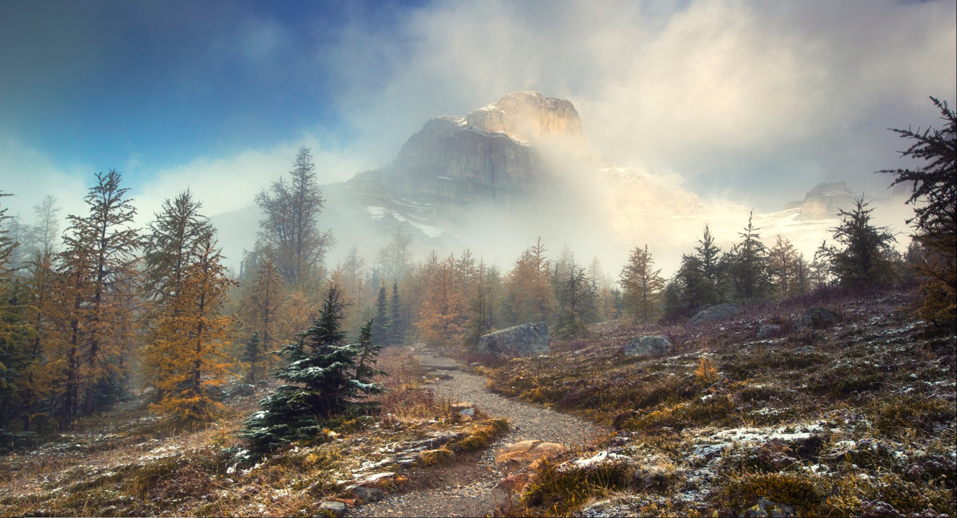 trees, mountains, outdoors, HD Wallpaper