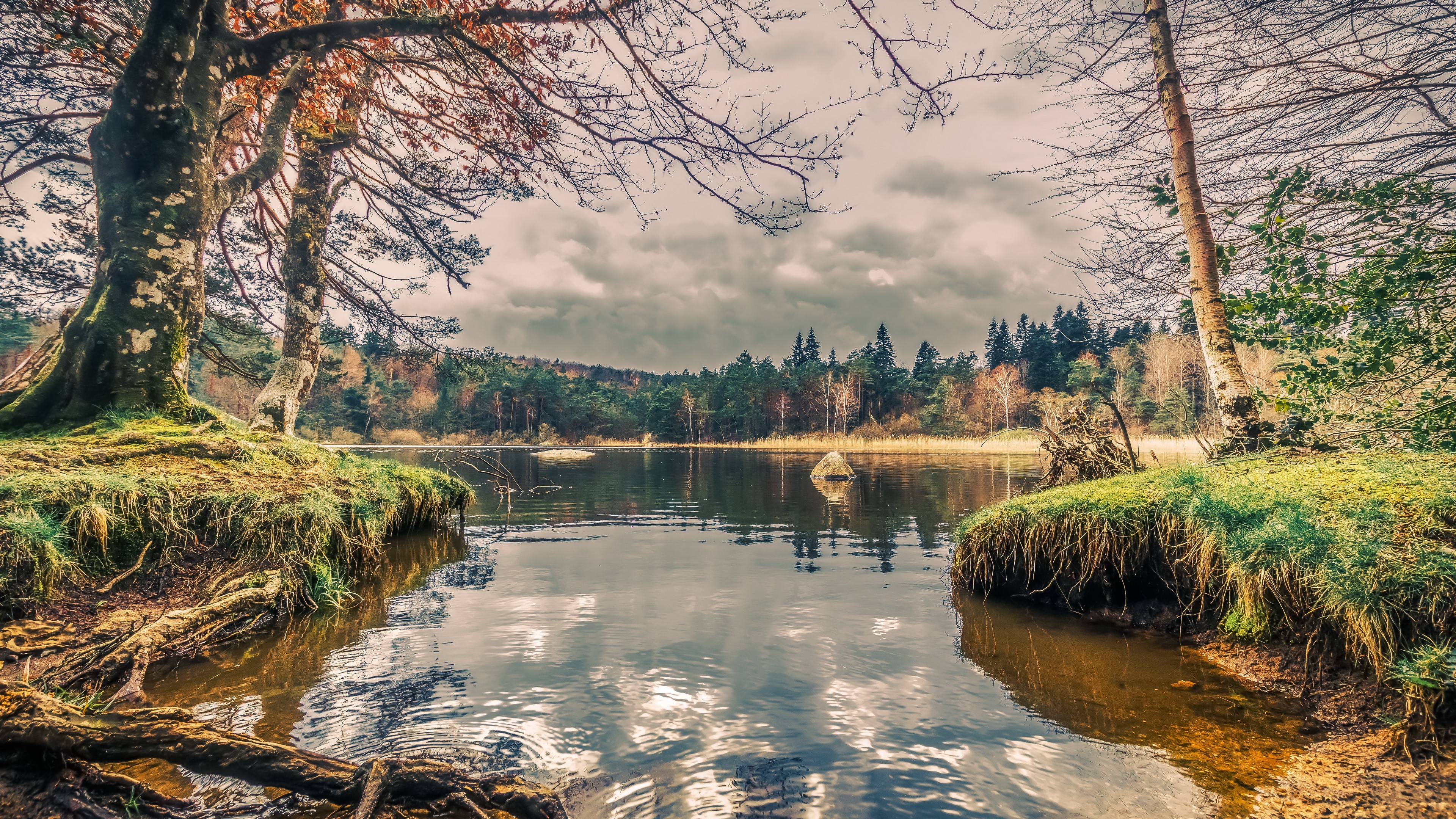 trees, water, lake, outdoors, nature, HD Wallpaper