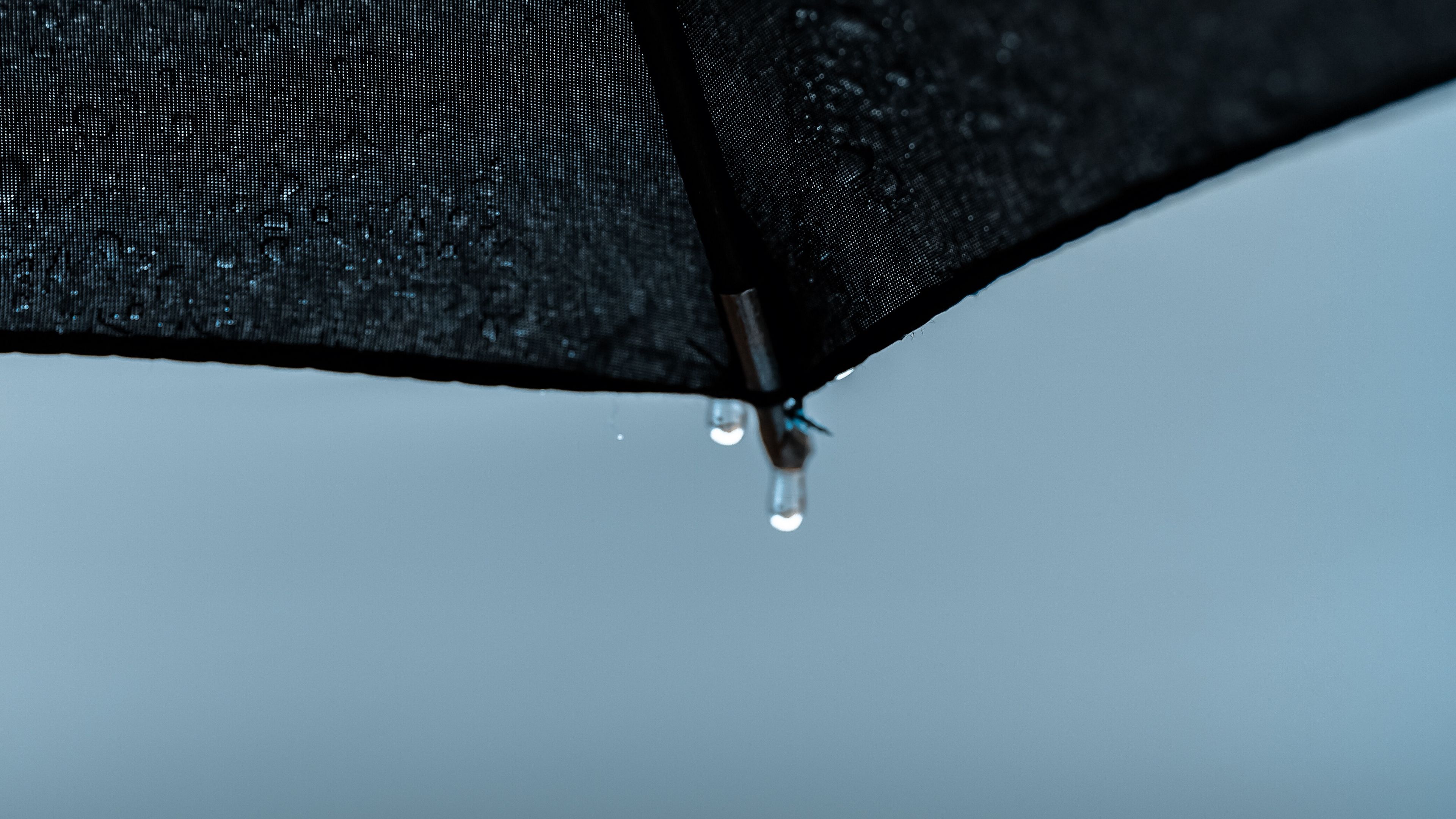 umbrella, drops, wet, rain, 4k, HD Wallpaper
