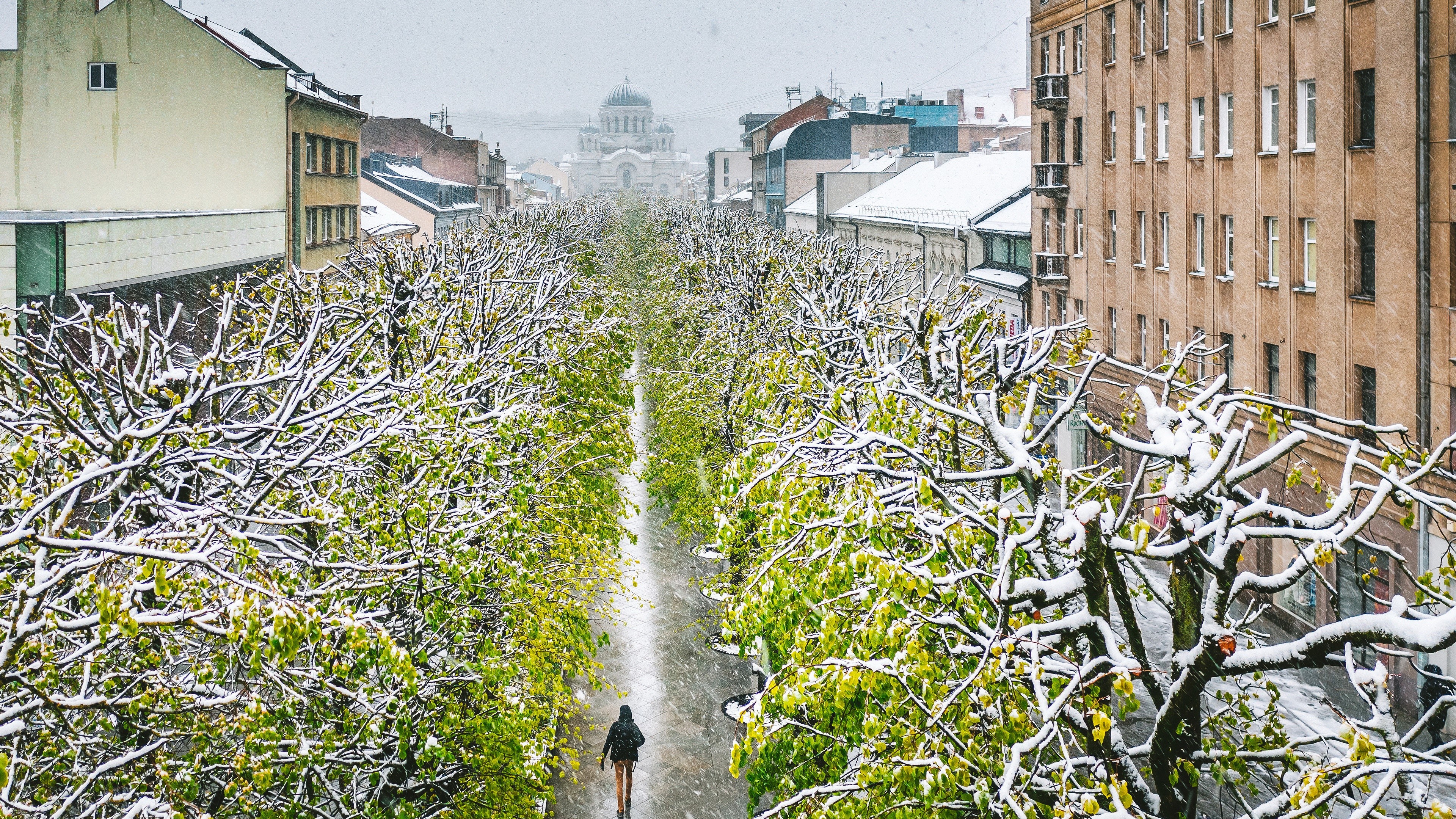city, winter, trees, Kaunas, snowing, snow, HD Wallpaper