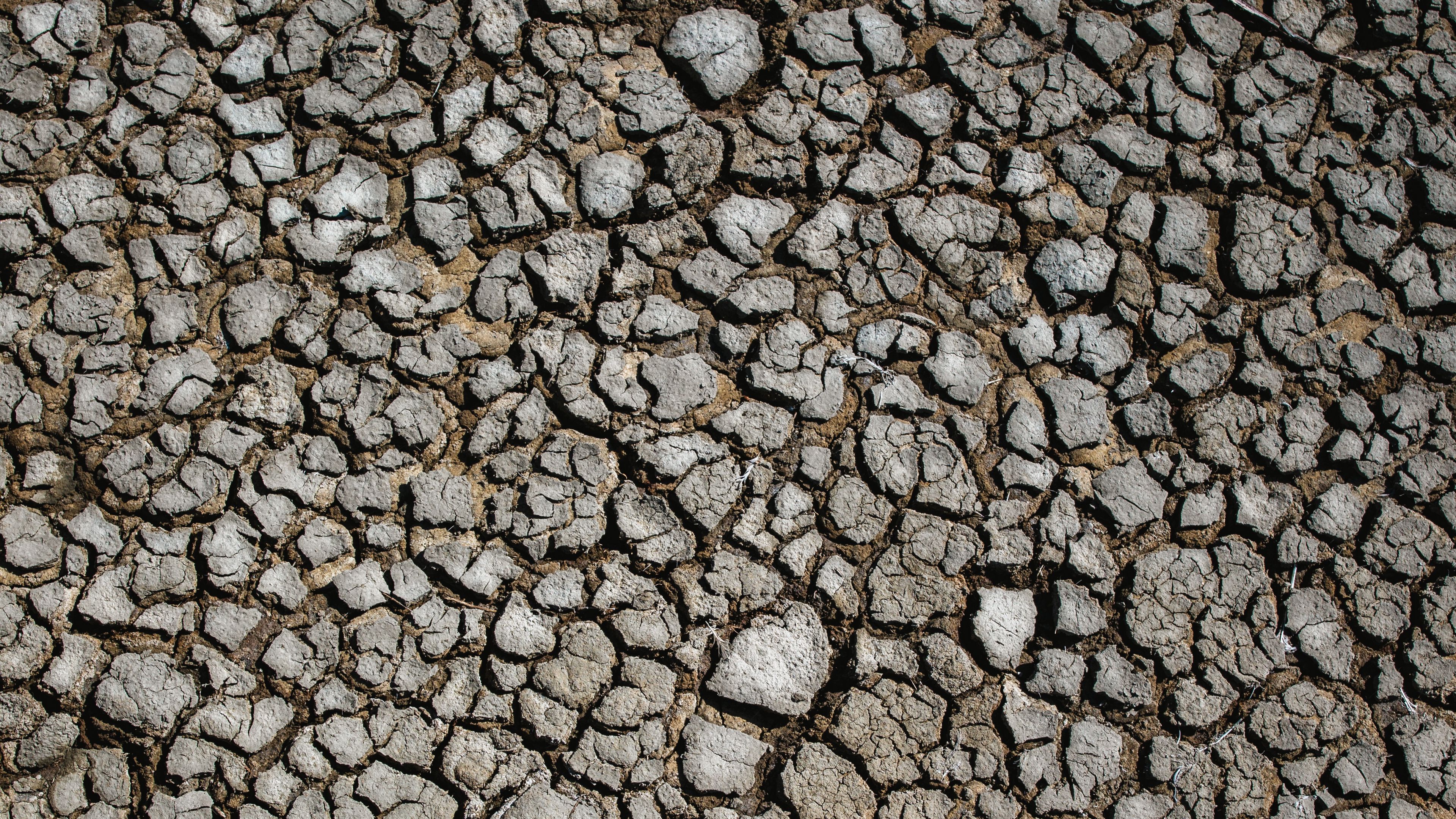 earth, dry, cranny, surface, drought, 4k, HD Wallpaper