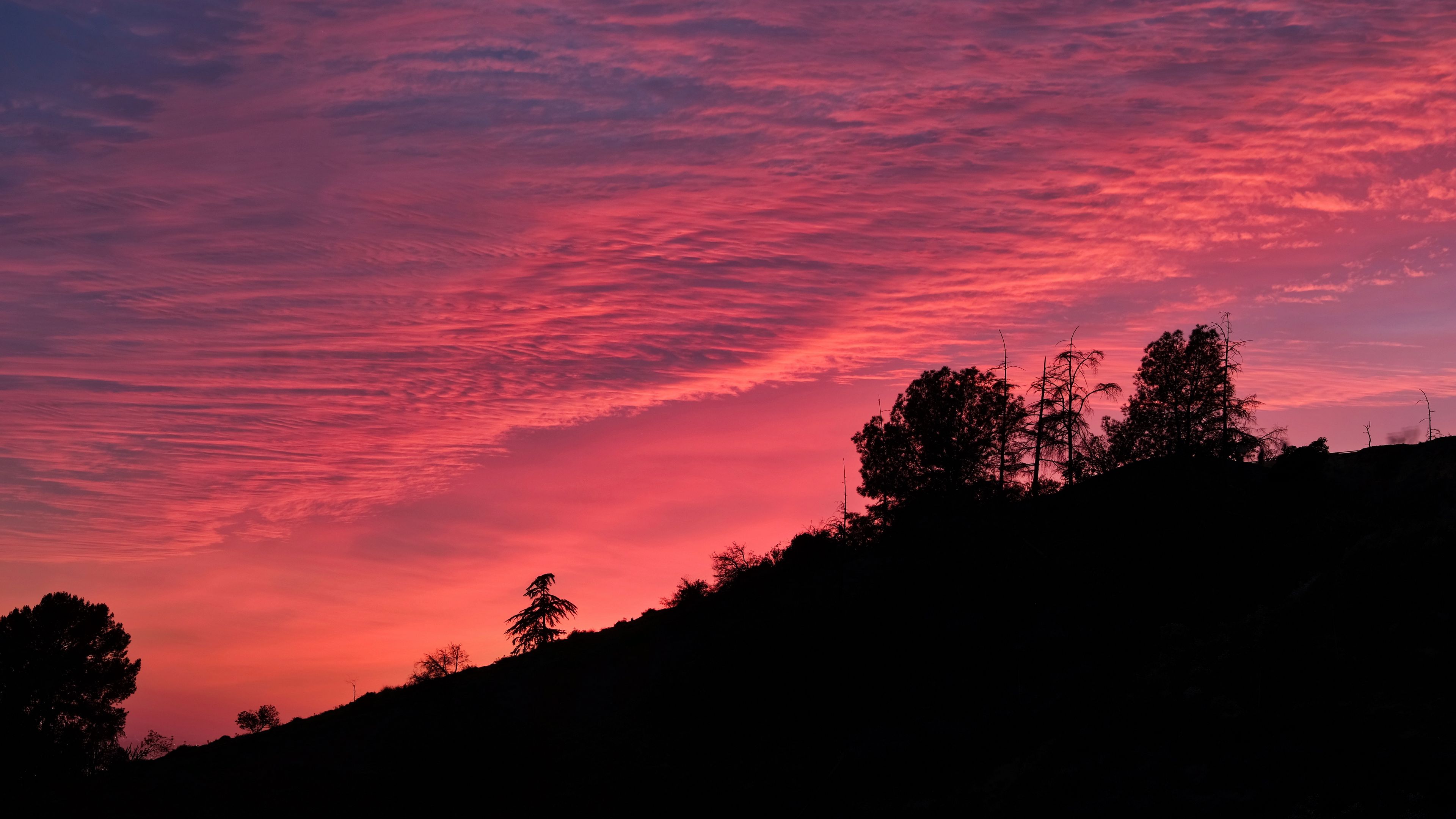 twilight, trees, outlines, hill, sky, clouds, 4k, HD Wallpaper