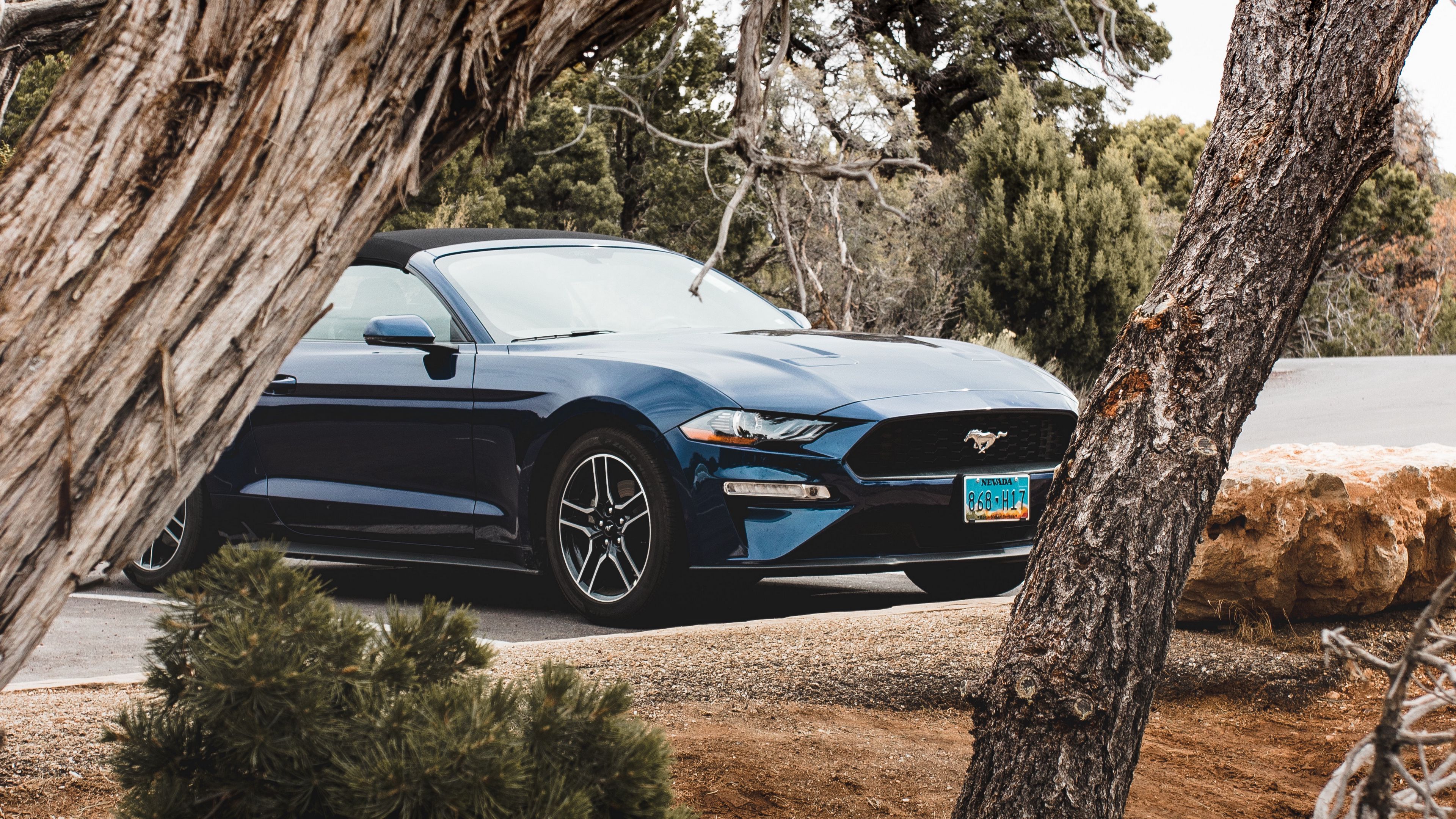 ford mustang, ford, car, convertible, blue, trees, branches, 4k, HD Wallpaper