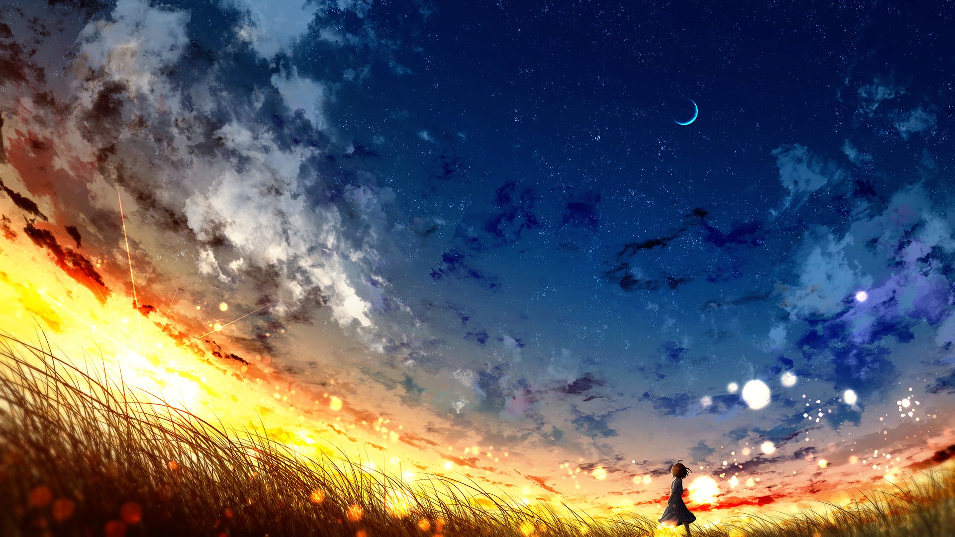 silhouette, clouds, stars, sunset, Moon, grass, HD Wallpaper