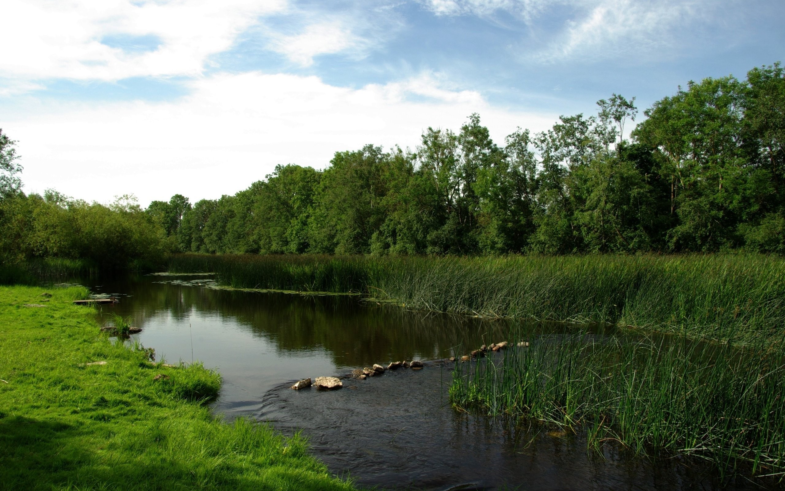 river, grass, plants, nature, outdoors, HD Wallpaper