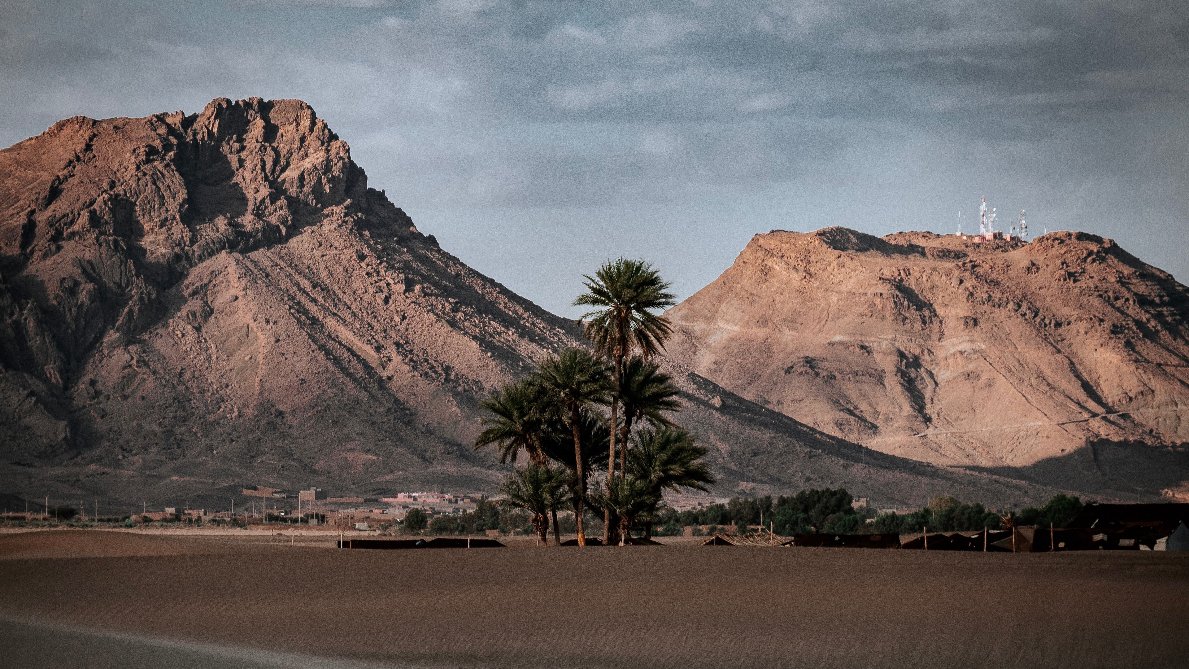 palm trees, mountains, desert, oasis, sand, 4k, HD Wallpaper
