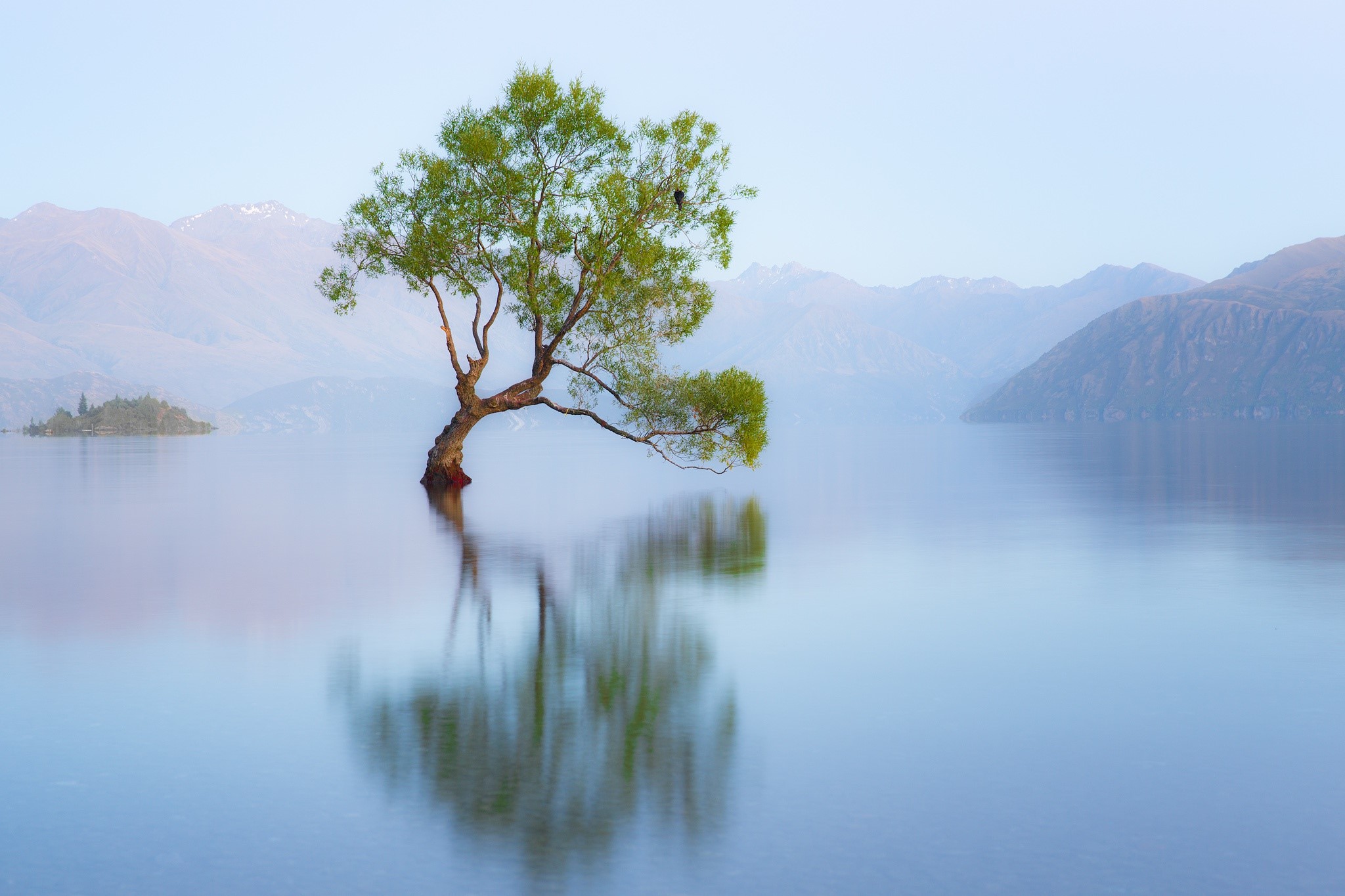 New Zealand, lake, nature, water, reflection, trees, HD Wallpaper