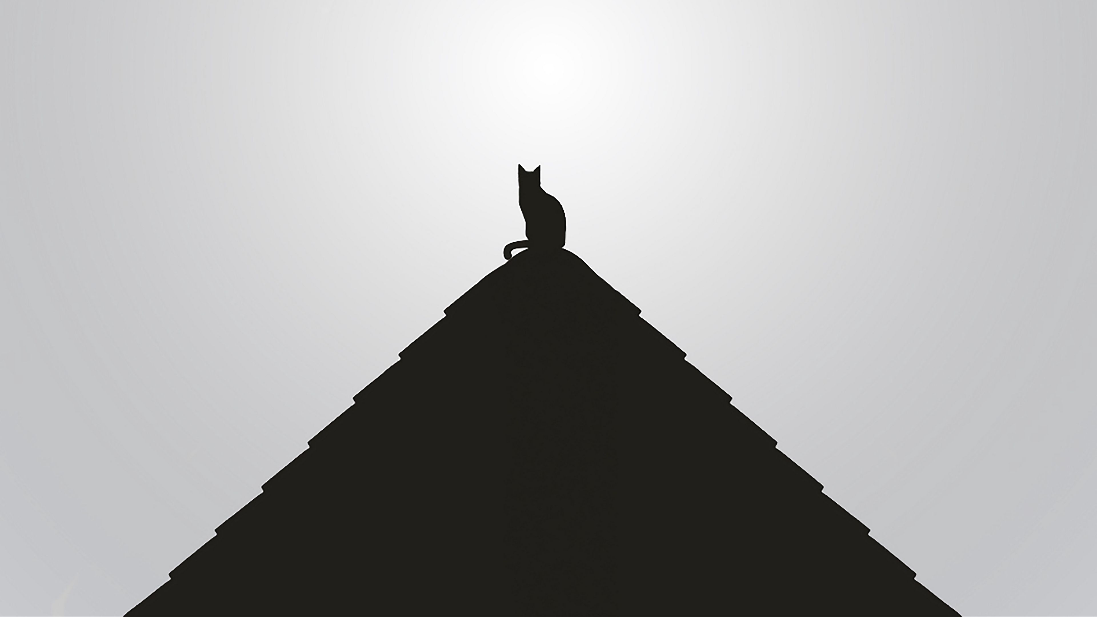 roof, cat, black, bw, minimalism, 4k, HD Wallpaper