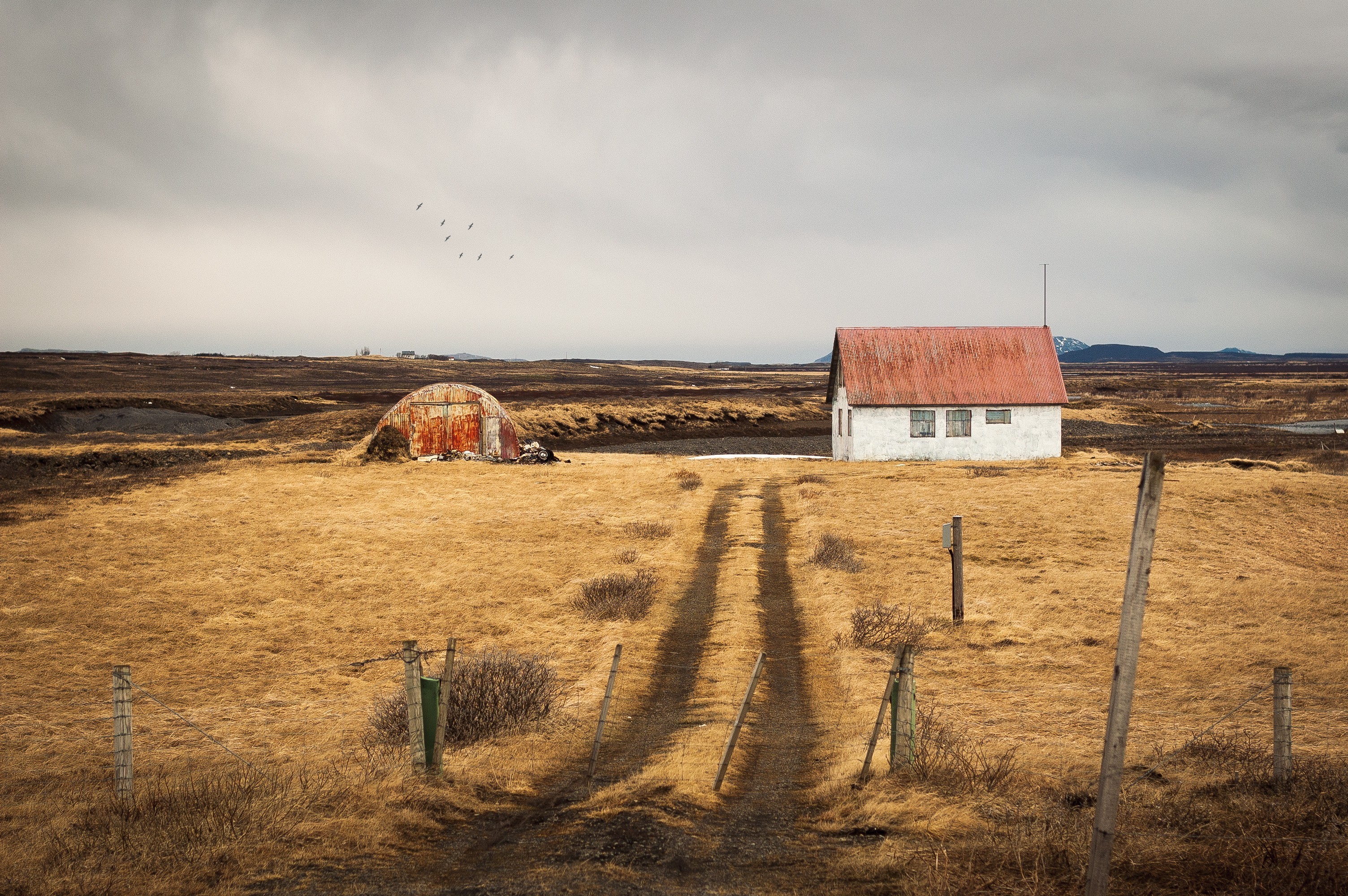 house, village, picture, HD Wallpaper