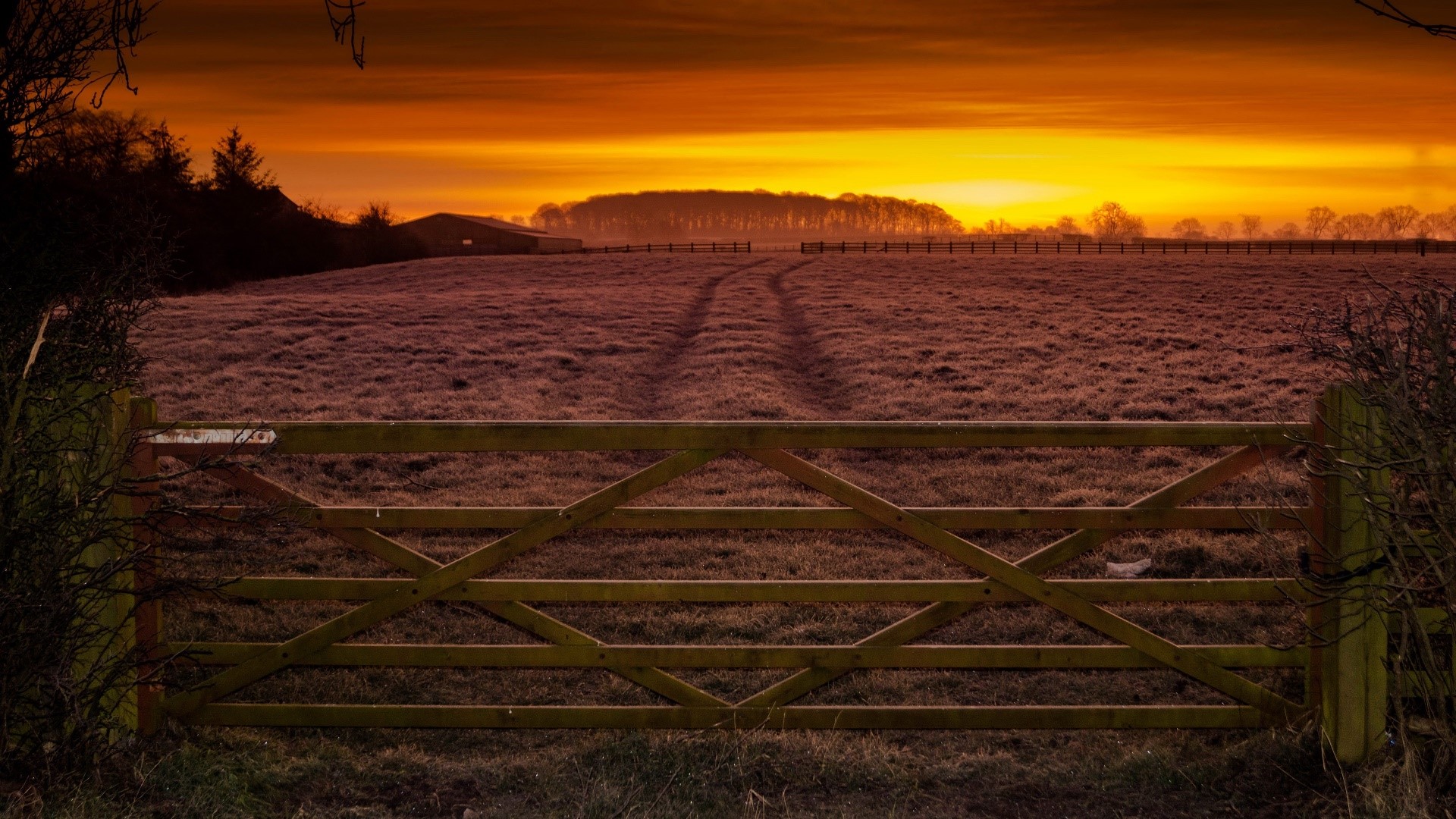 sky, sunlight, field, gates, outdoors, HD Wallpaper