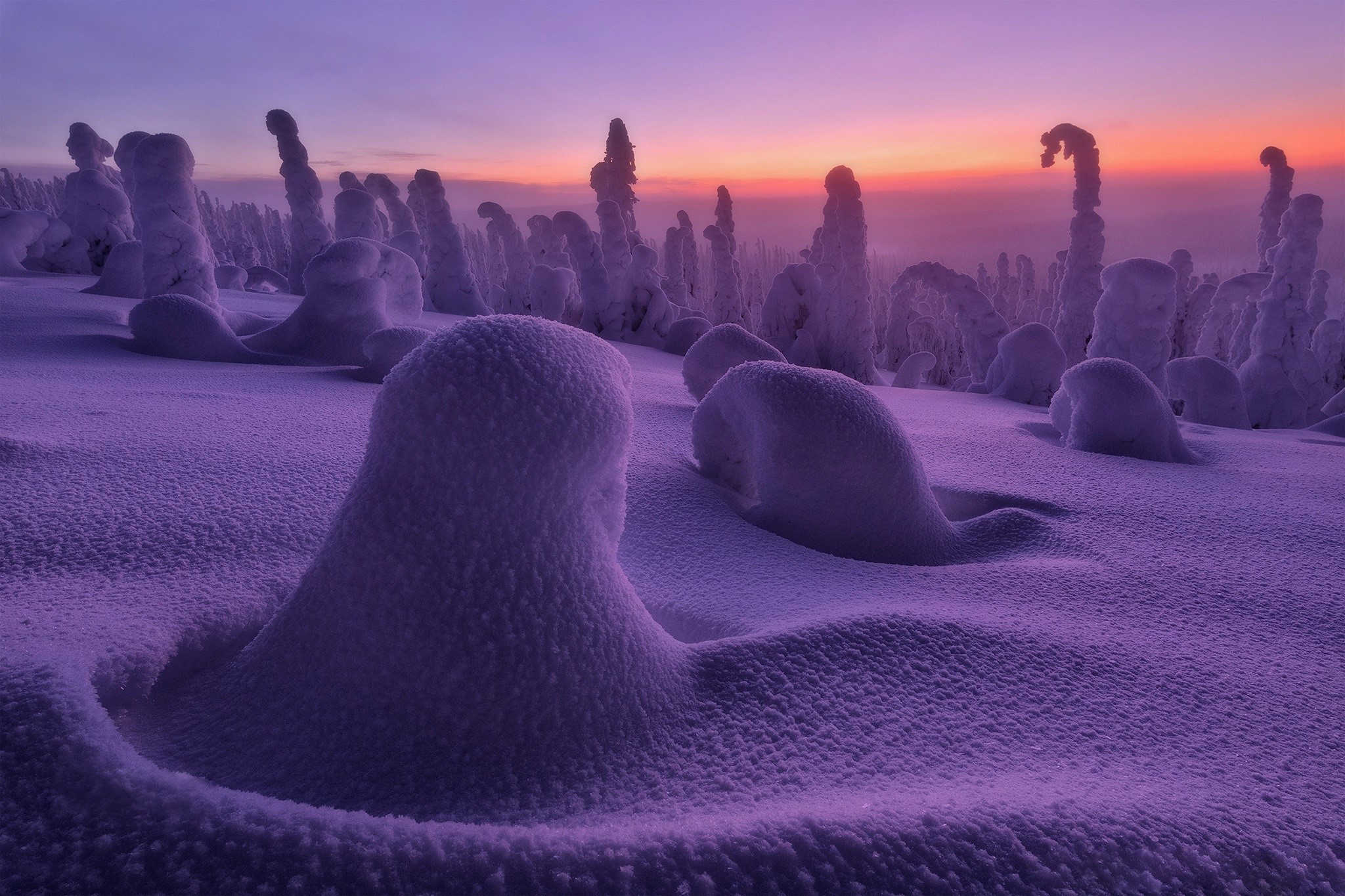 landscape, nature, snow, winter, cold, HD Wallpaper