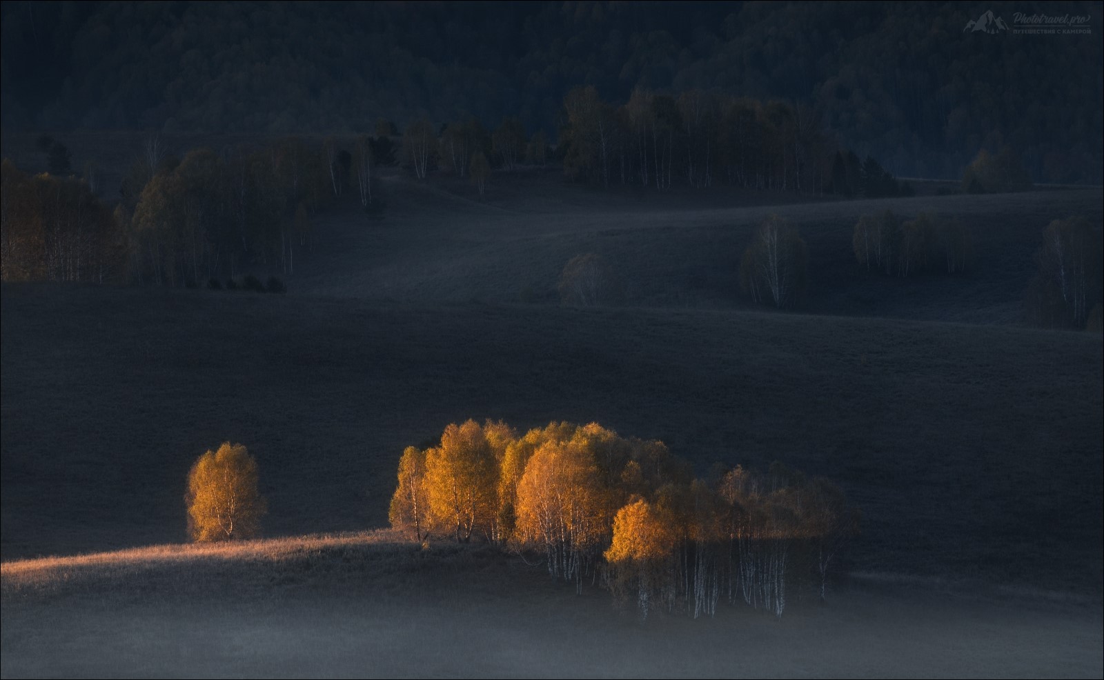 Vlad Sokolovsky, landscape, dark, trees, sun rays, nature, road, HD Wallpaper