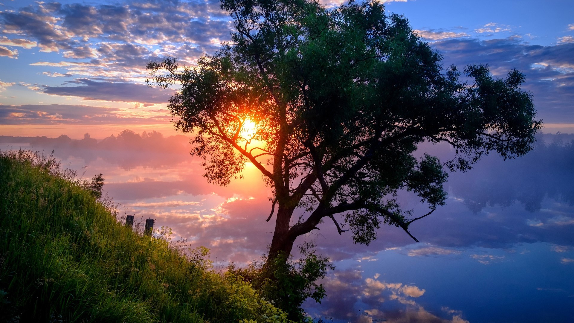Russia, nature, trees, sunset, HD Wallpaper