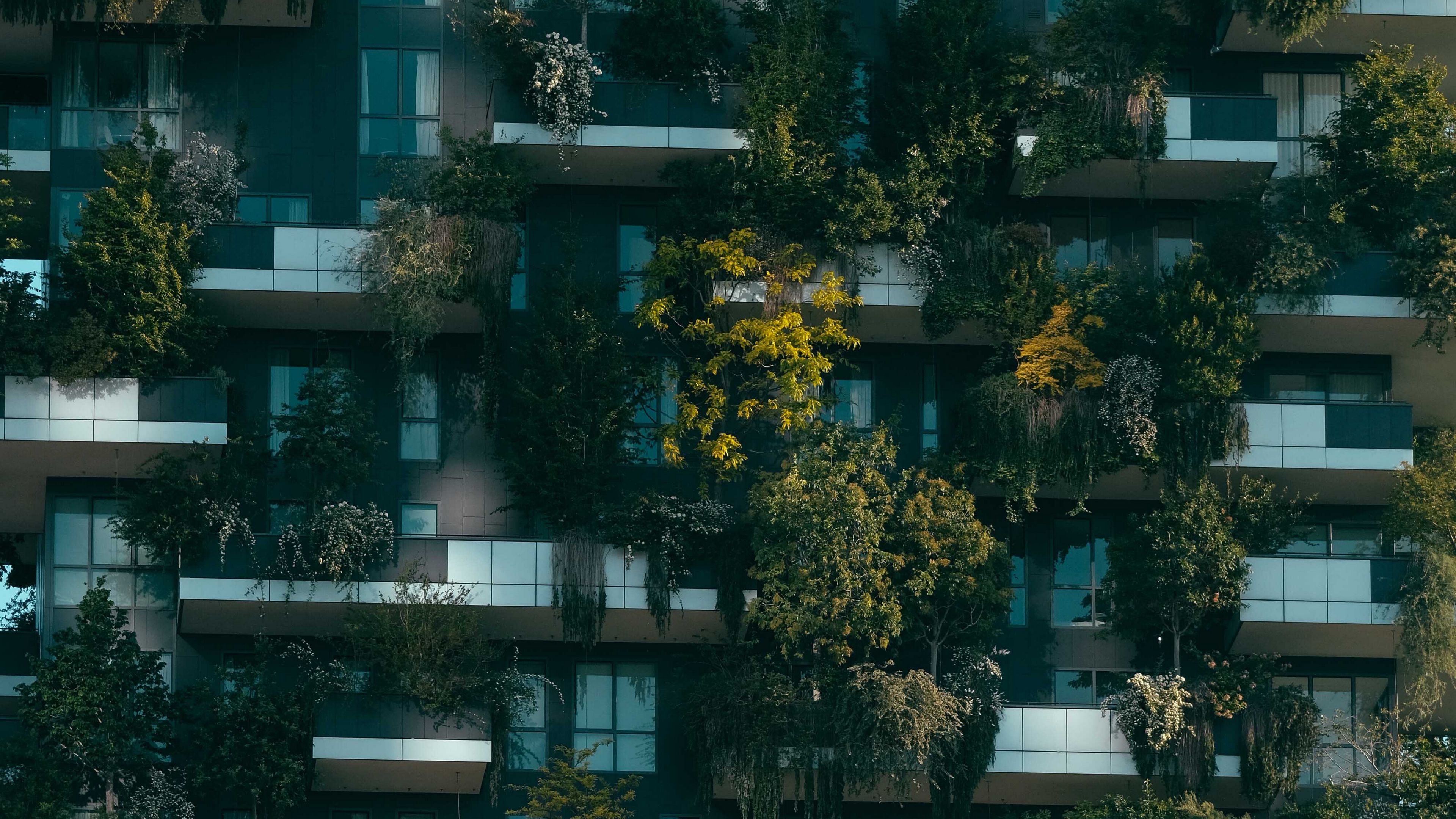 plants, building, facade, 4k, HD Wallpaper