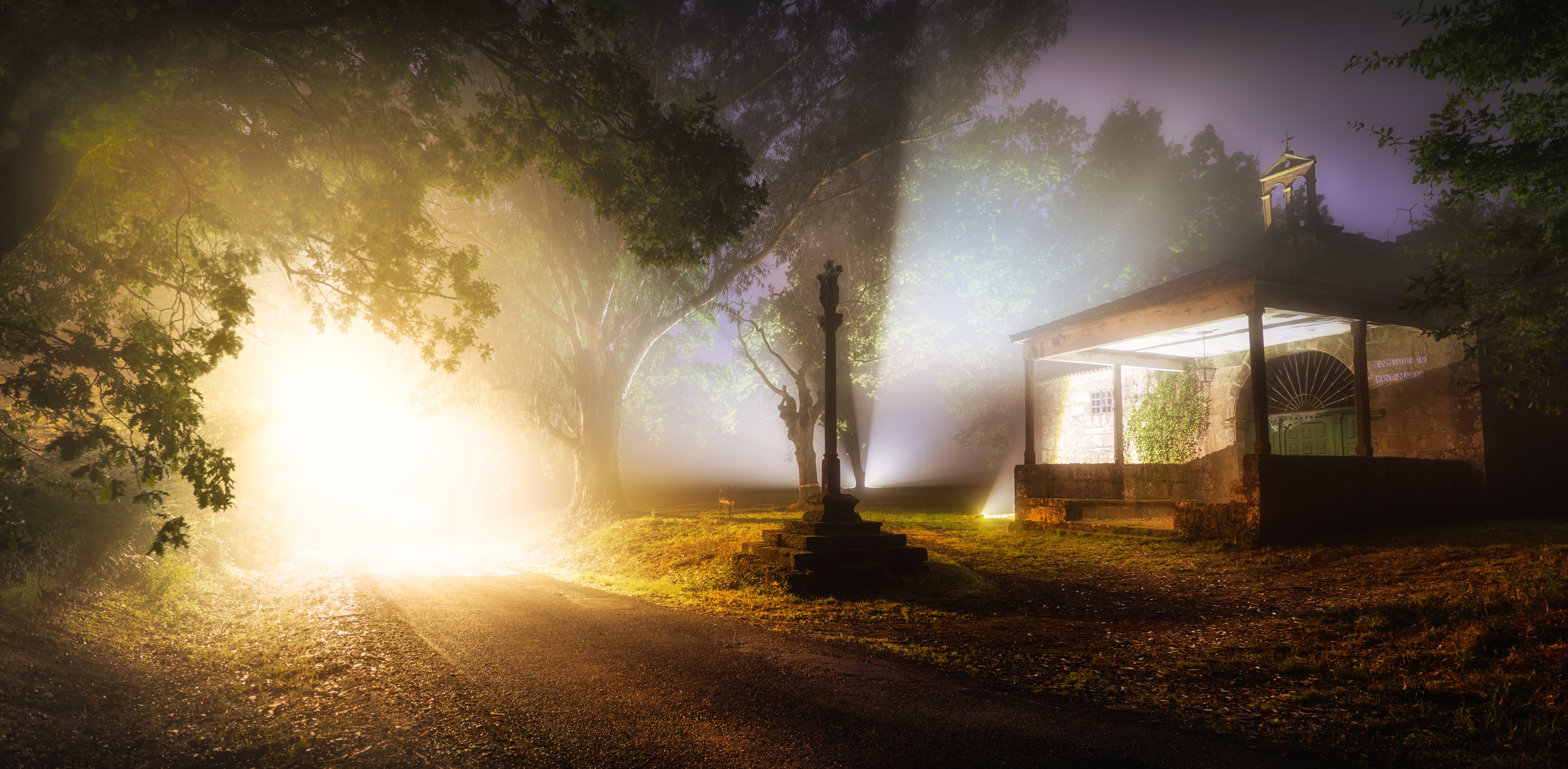 mist, lights, dark, night, path, trees, nature, building, photography, HD Wallpaper