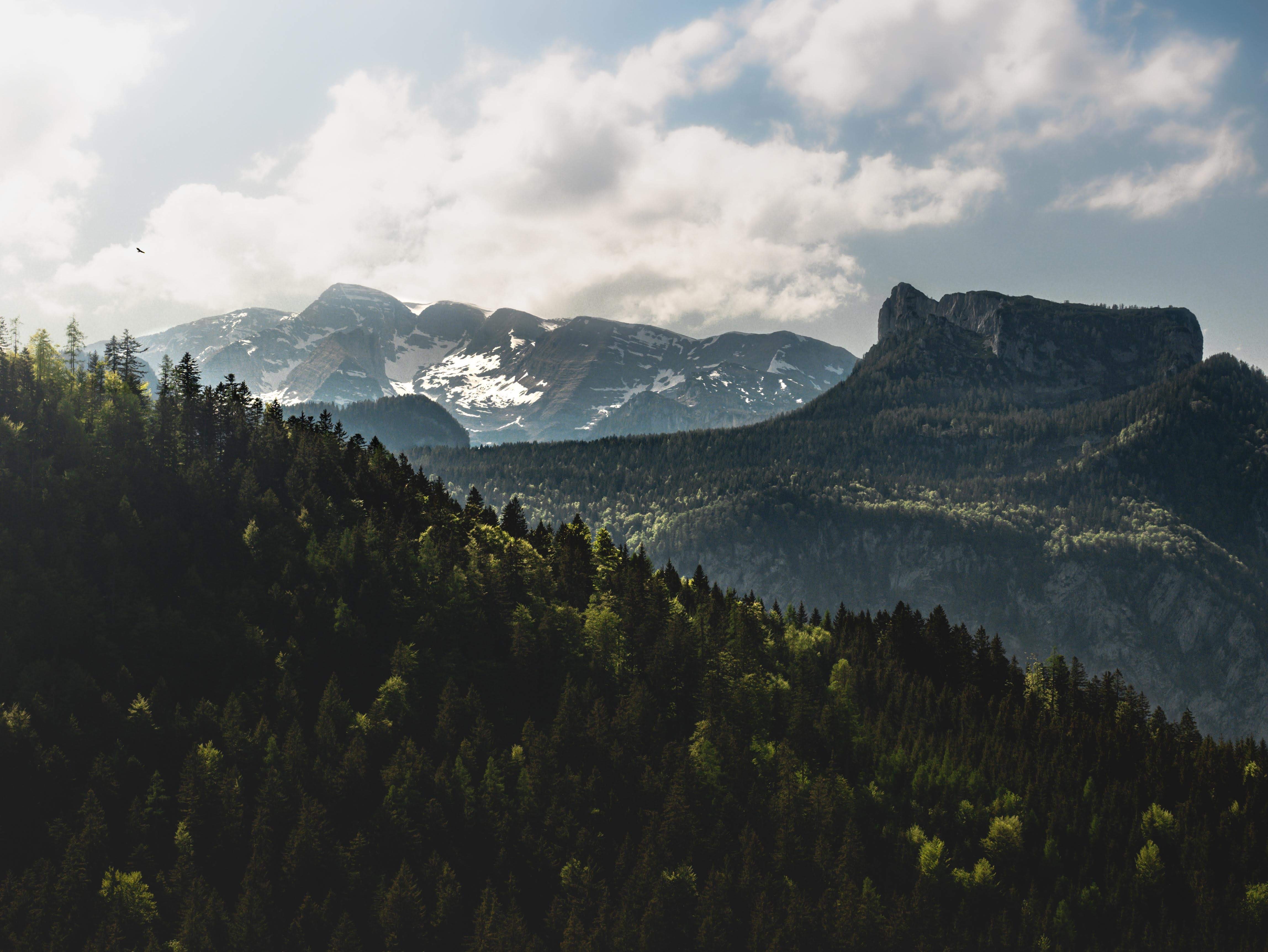 landscape, Earth, forest, mountains, clouds, nature, HD Wallpaper