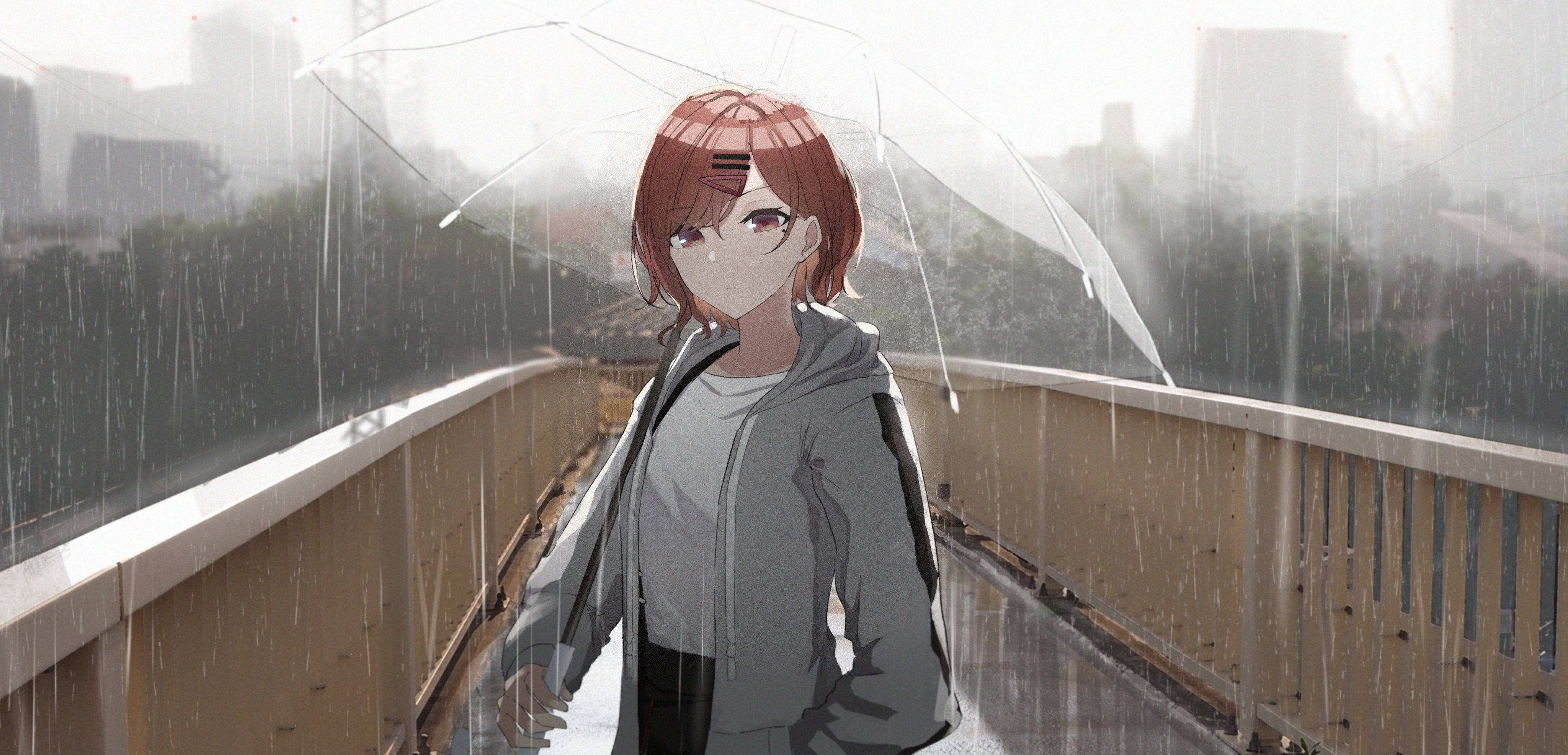 brunette, umbrella, anime girls, anime, HD Wallpaper