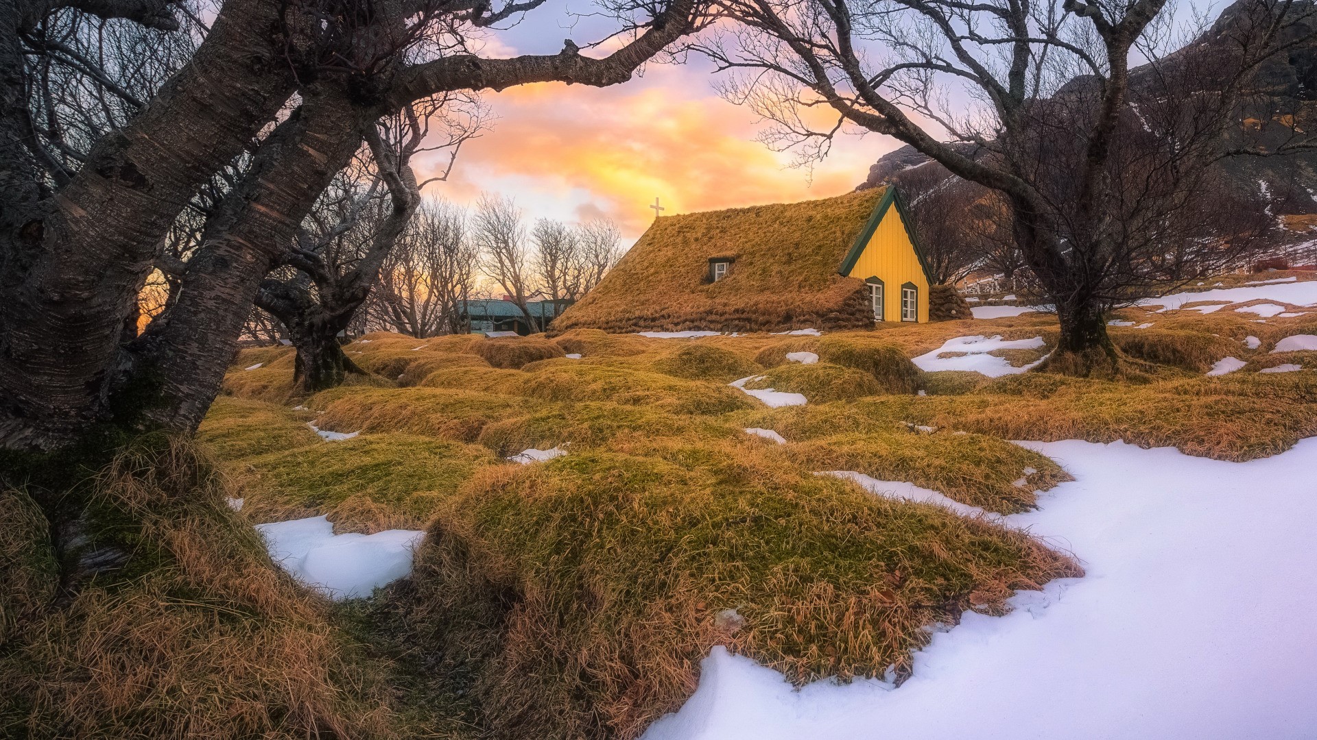 nature, landscape, trees, branch, house, cabin, moss, grass, Iceland, sunrise, winter, snow, HD Wallpaper