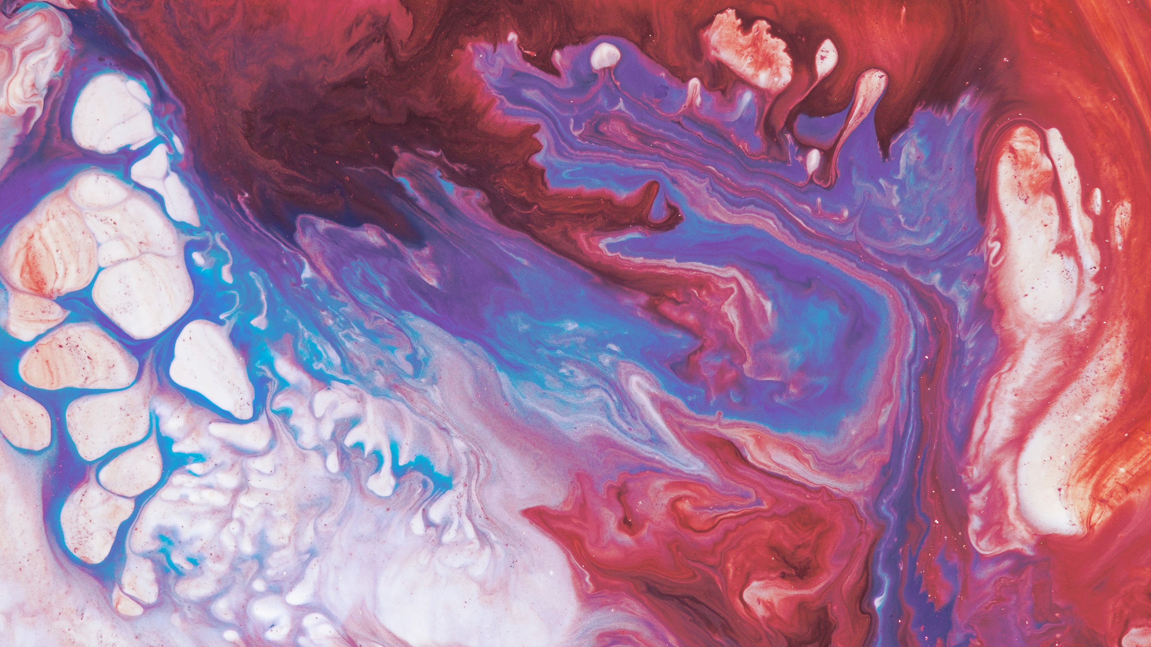 abstract, fluid, shapes, colorful, artwork, HD Wallpaper