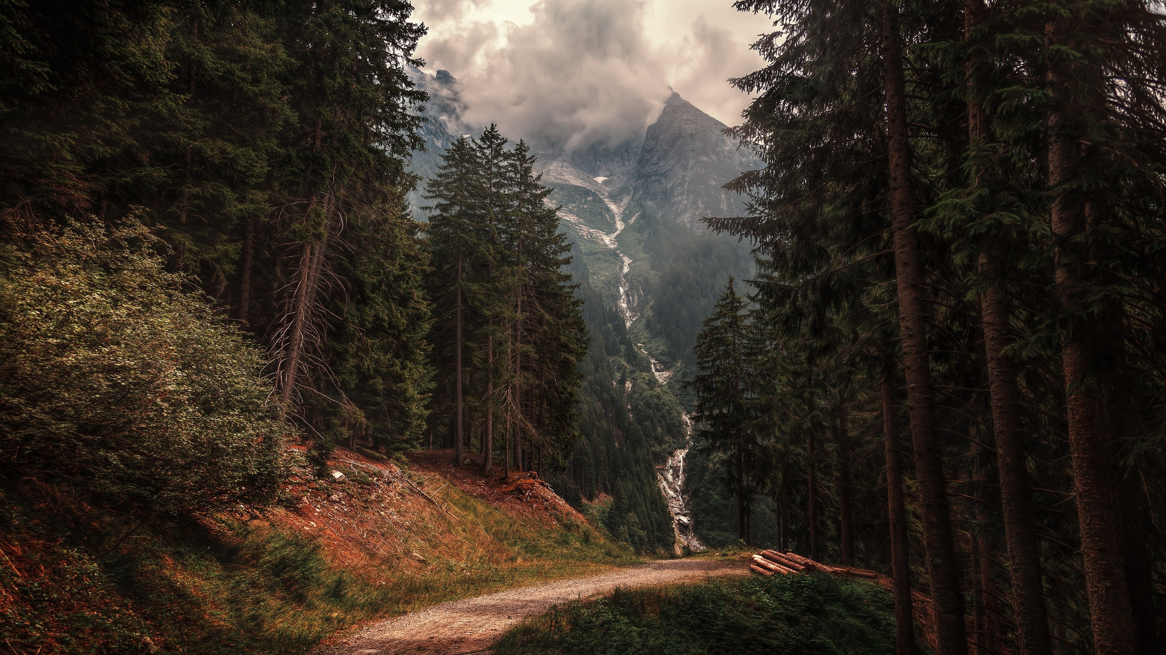 nature, outdoors, trees, mountains, forest, Italy, HD Wallpaper