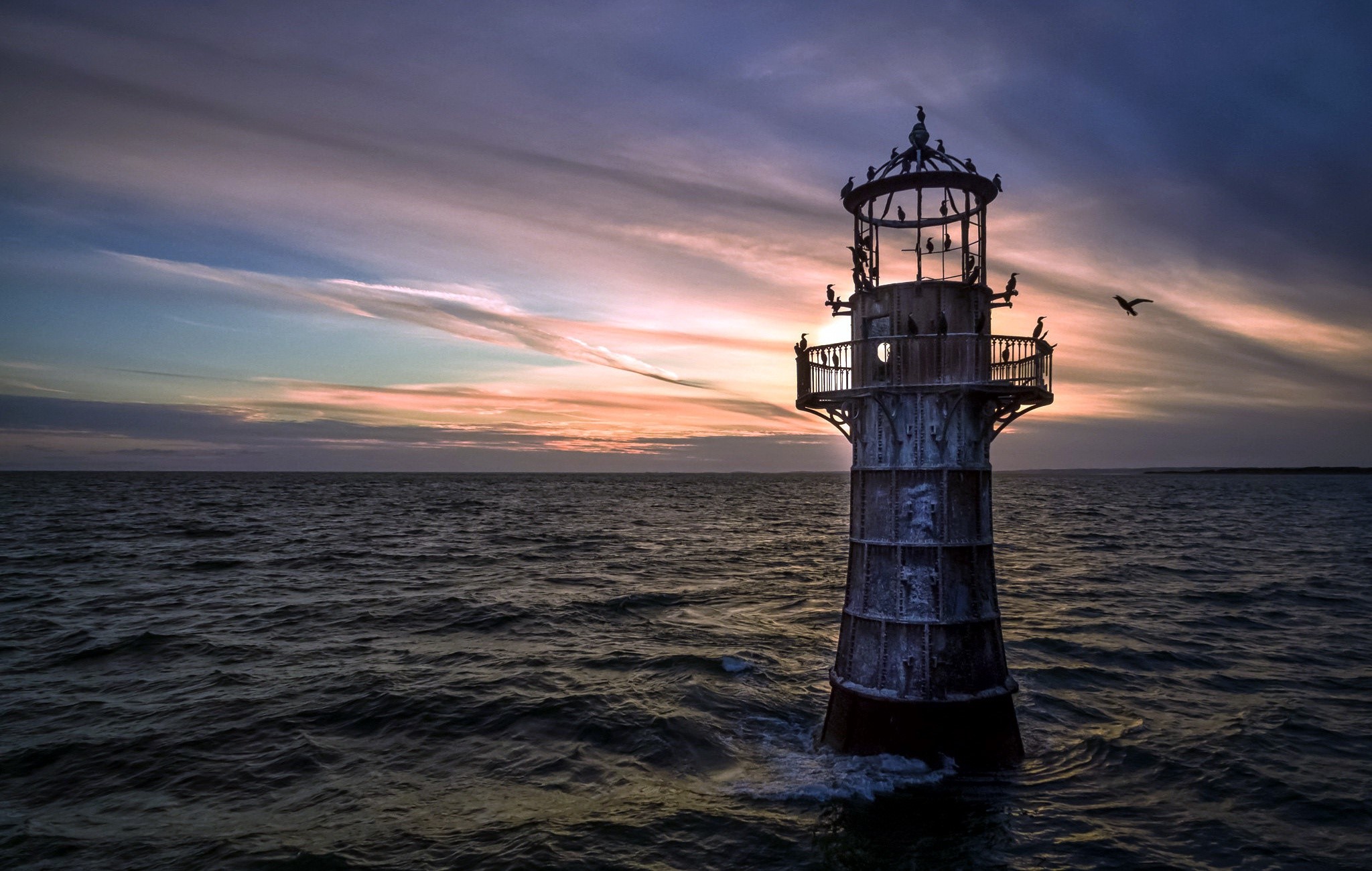 sea, water, sky, outdoors, birds, HD Wallpaper