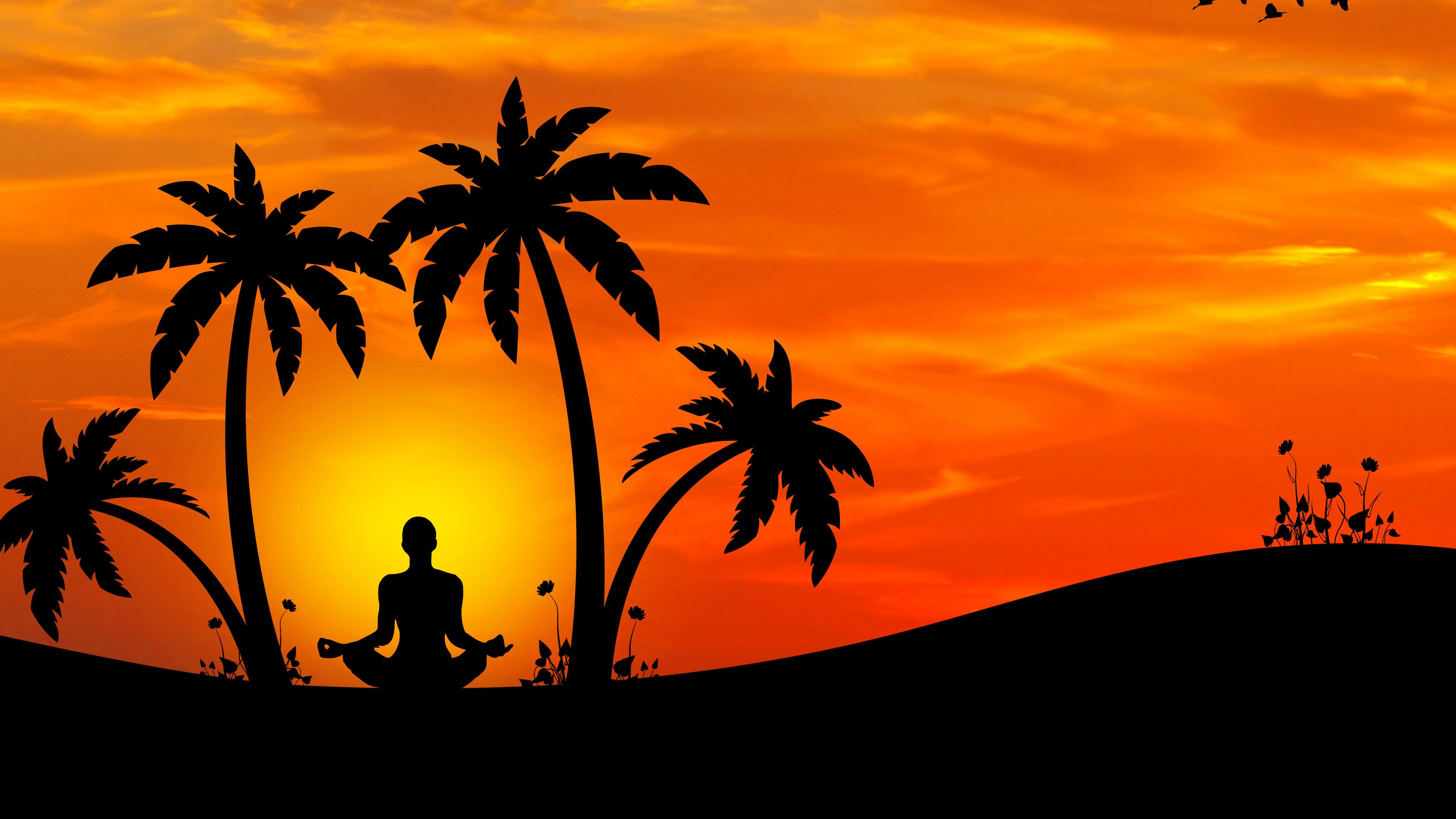 meditation, yoga, silhouette, palm trees, harmony, 4k, HD Wallpaper