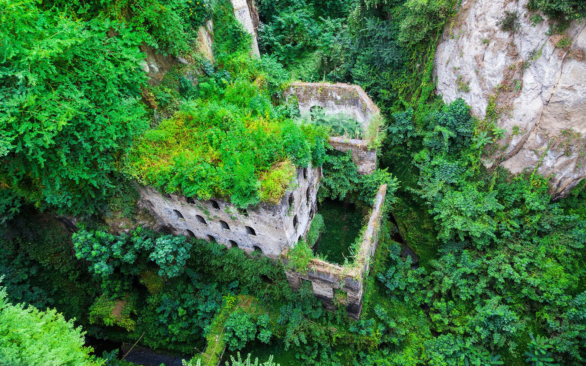 nature, green, ruins, HD Wallpaper