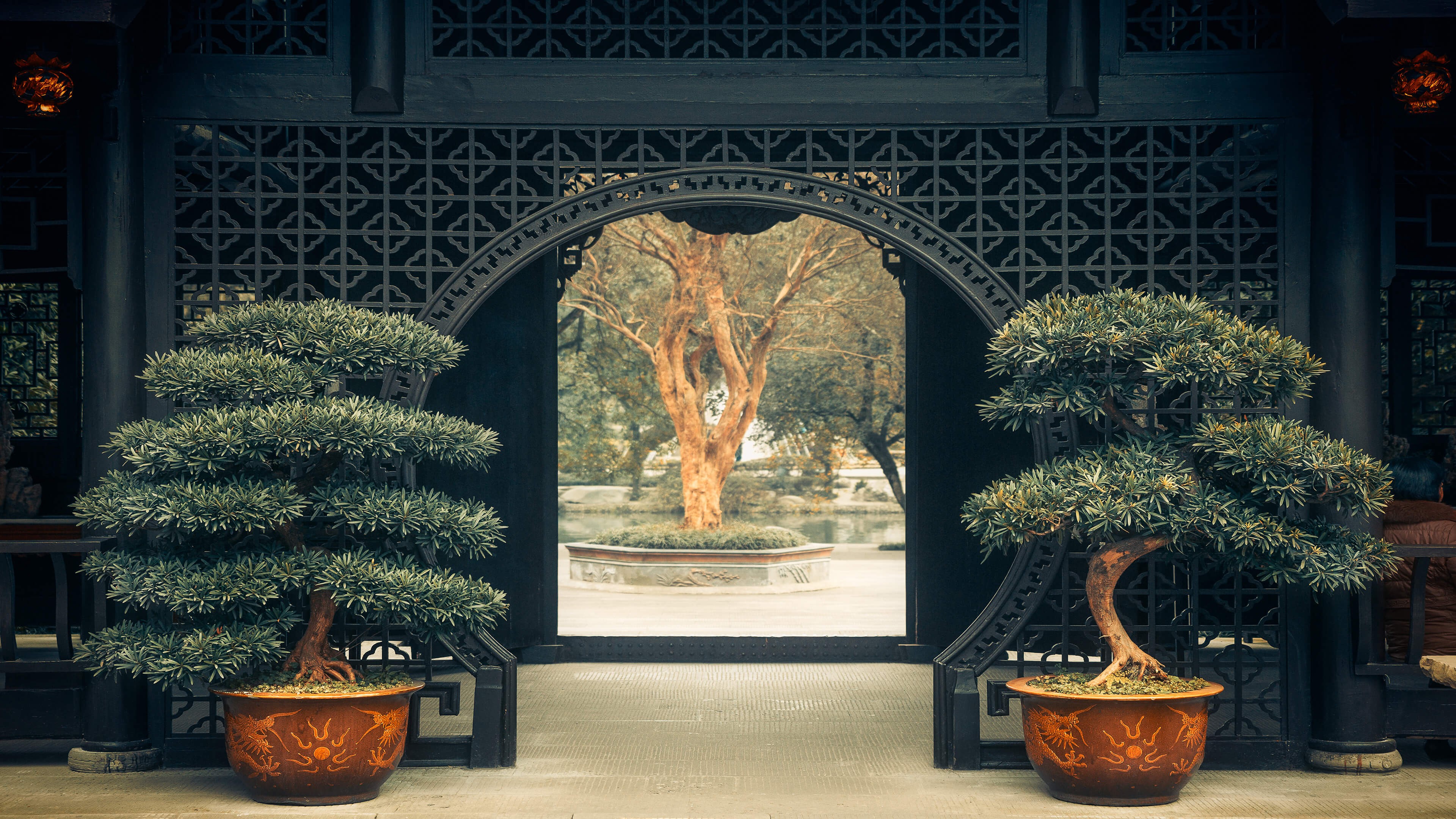 China, plants, trees, bonsai, Asian architecture, doorways, symmetry, peaceful, HD Wallpaper