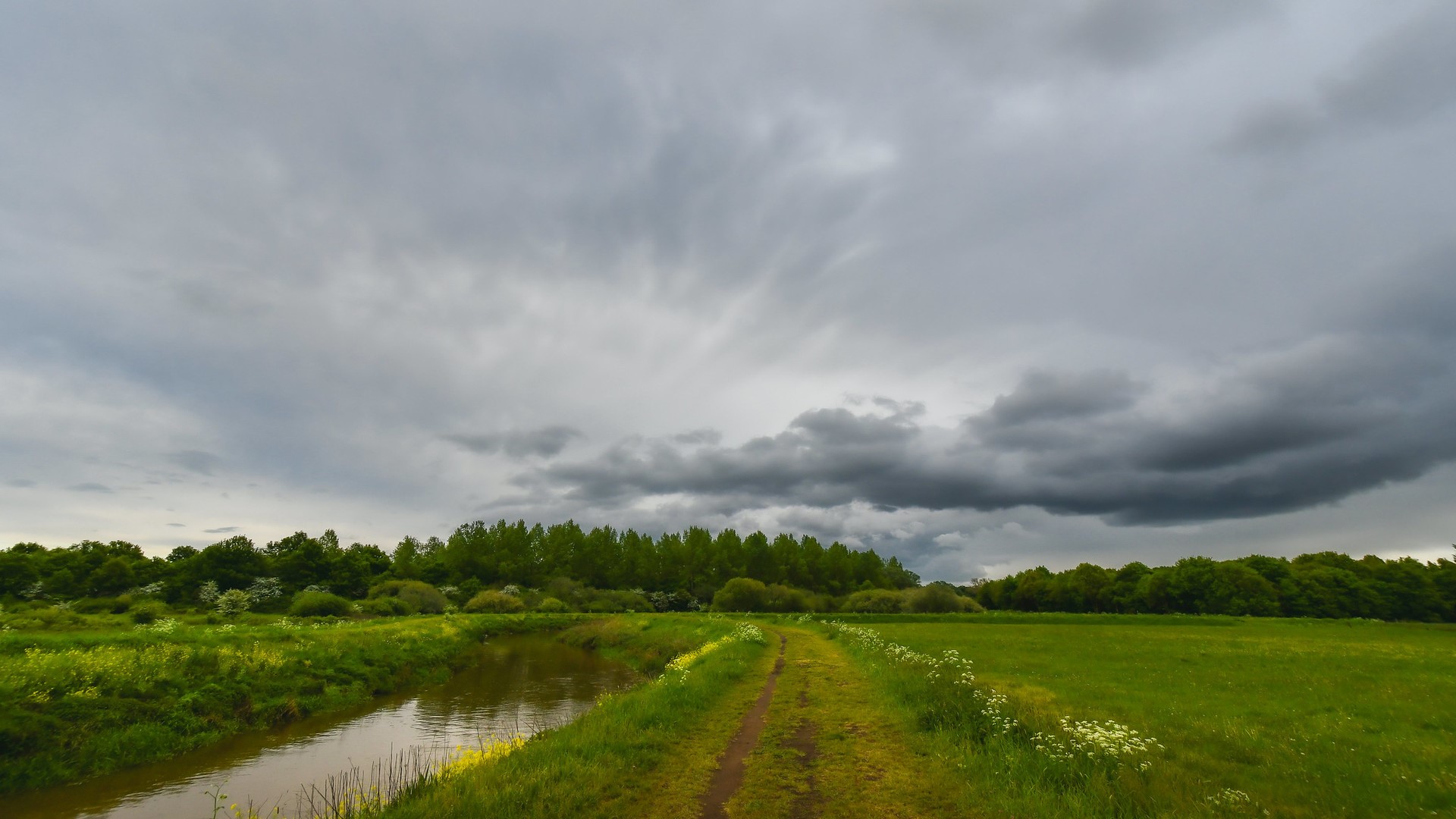 nature, landscape, river, trees, sky, clouds, grass, wildflowers, HD Wallpaper