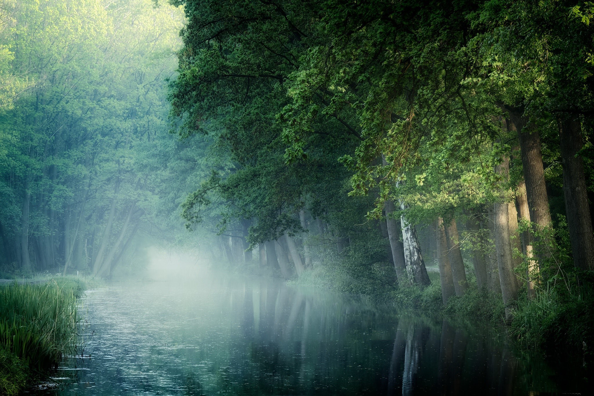 river, nature, trees, outdoors, HD Wallpaper