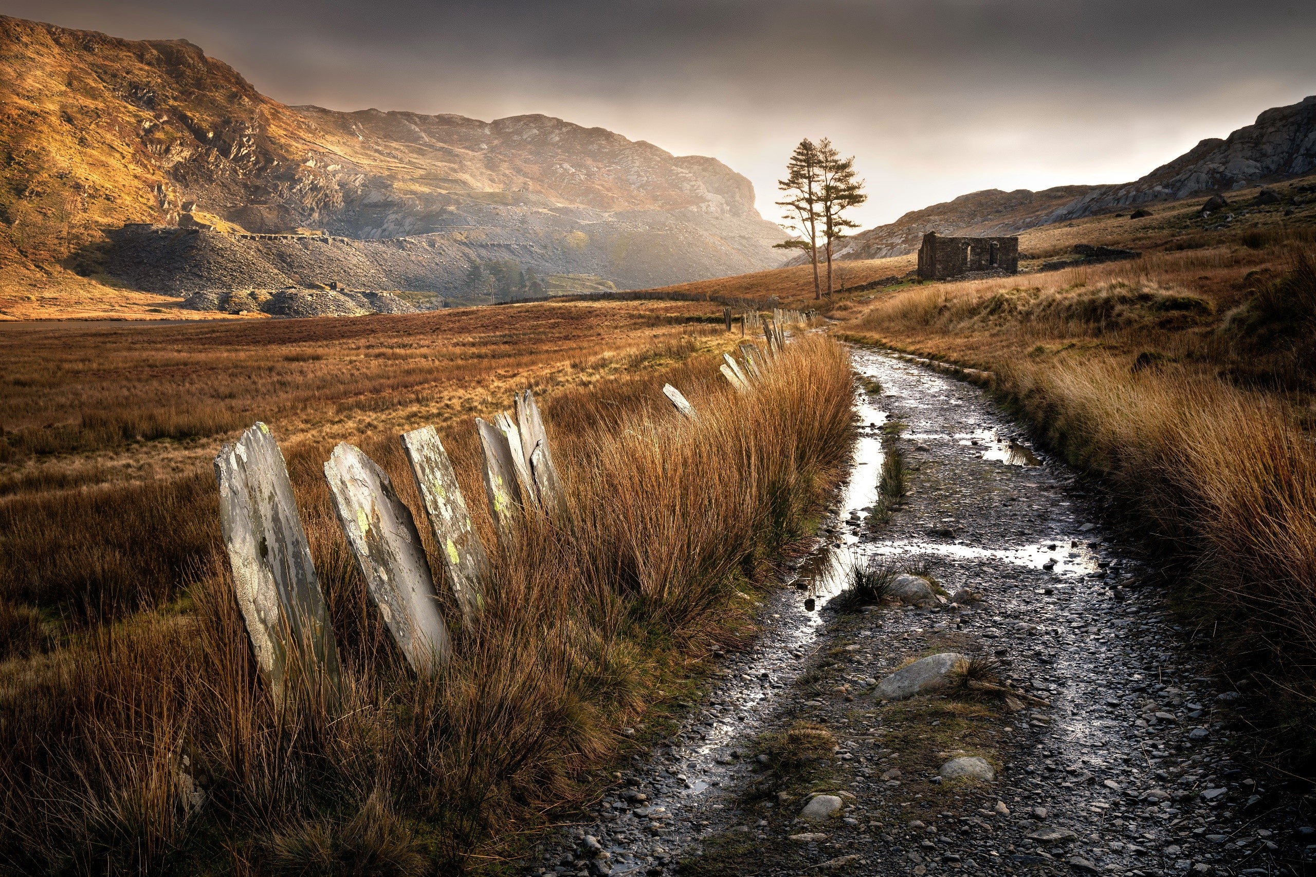 dirt road, outdoors, landscape, fall, HD Wallpaper