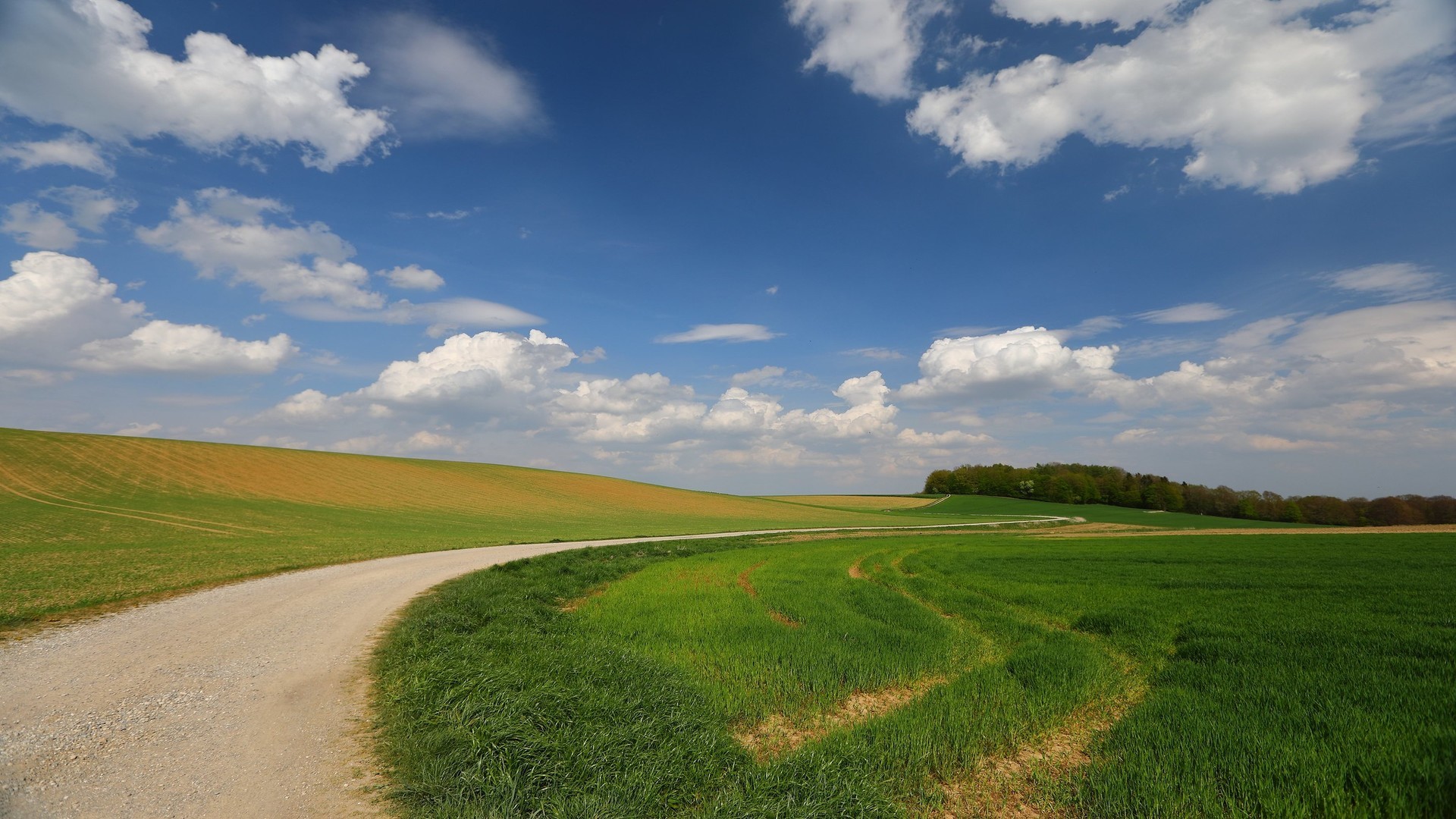 nature, landscape, field, sky, clouds, trees, grass, road, HD Wallpaper