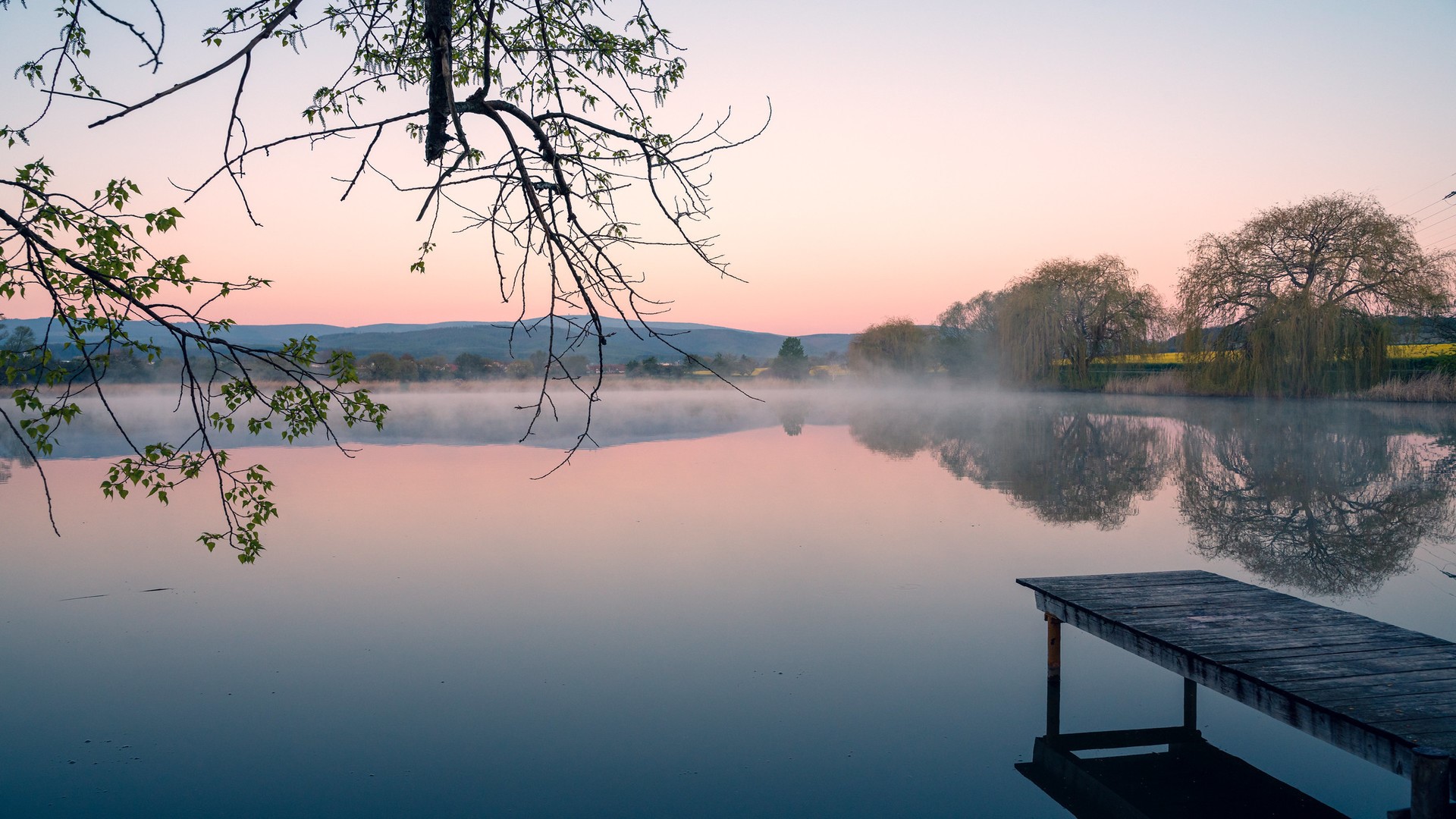nature, landscape, pond, mist, forest, sky, sunset, trees, Wernigerode, Germany, HD Wallpaper