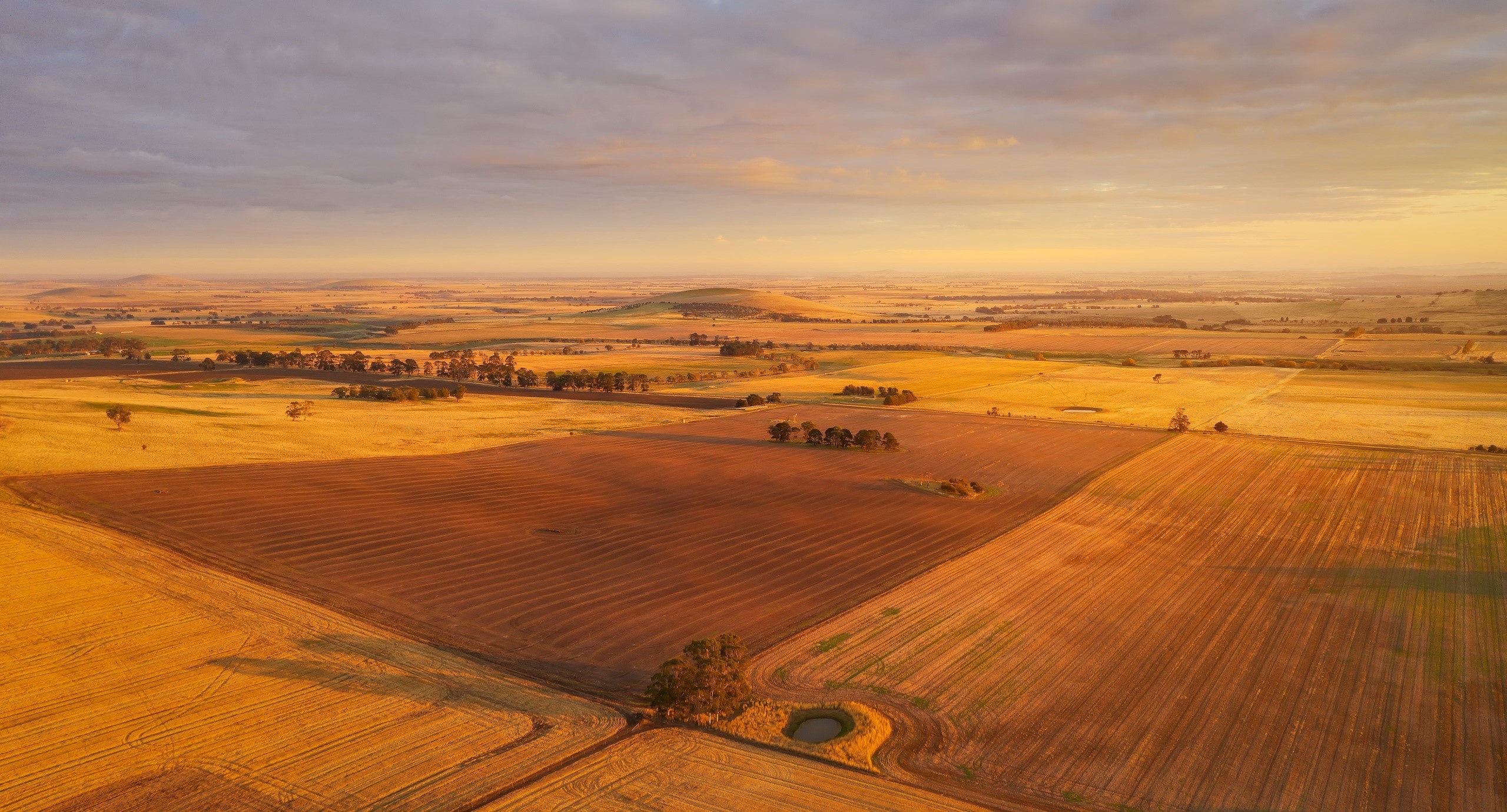Australia, landscape, field, sky, HD Wallpaper