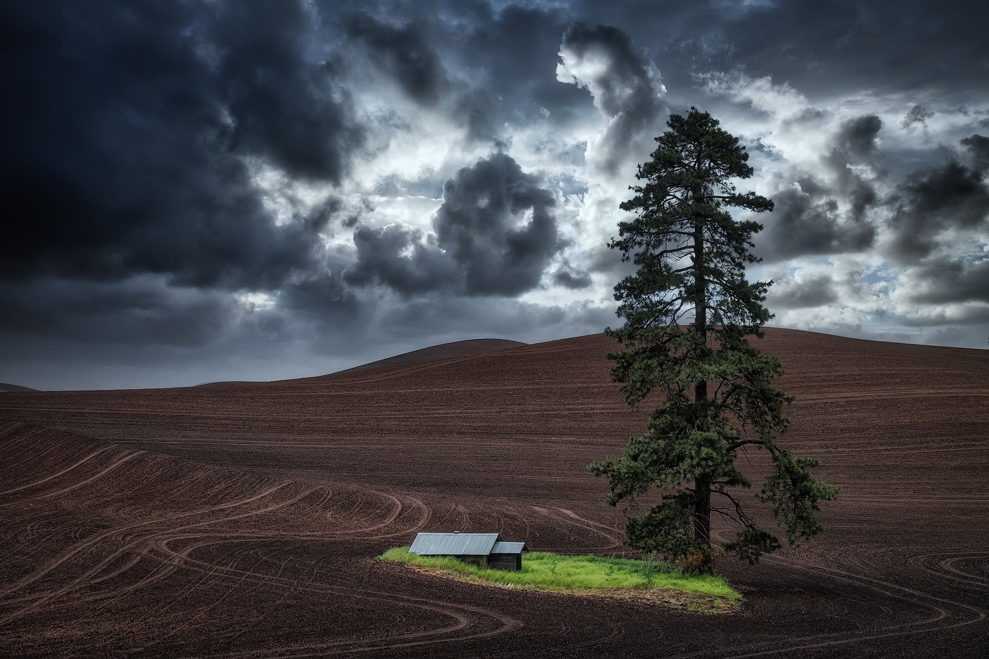 landscape, trees, USA, sky, outdoors, clouds, HD Wallpaper