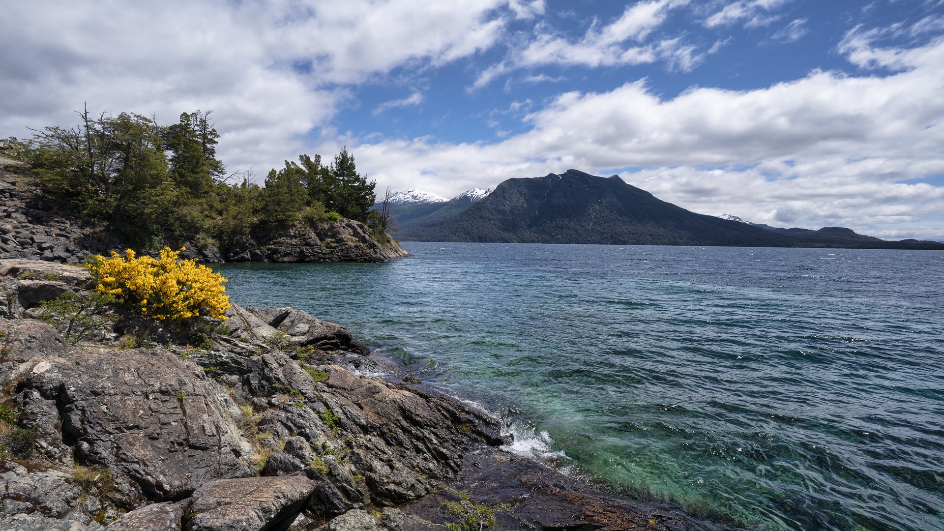 nature, landscape, lake, mountains, flowers, trees, sky, clouds, Nahuel Huapi Lake, Argentina, HD Wallpaper
