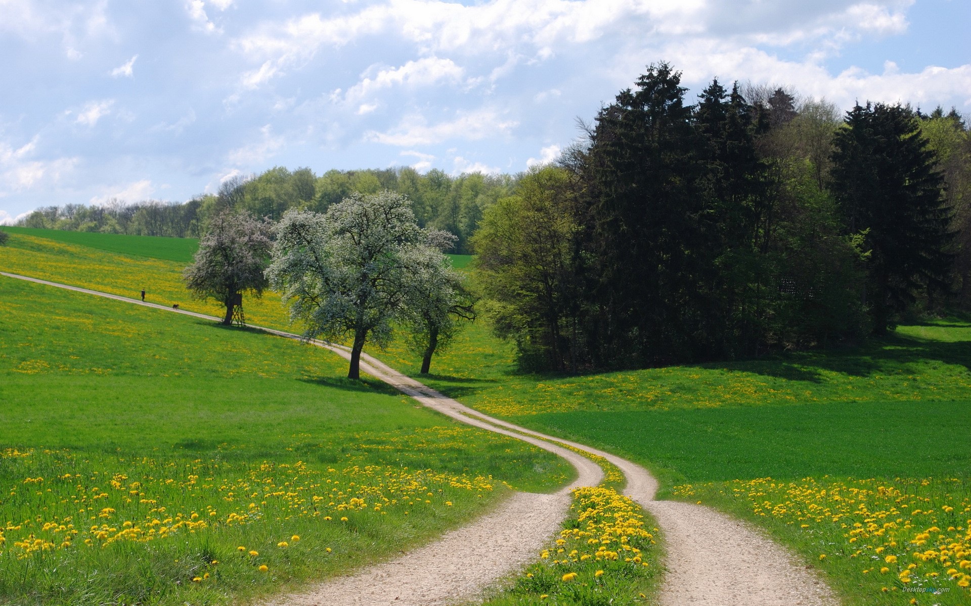 landscape, trees, grass, flowers, clouds, spring, HD Wallpaper