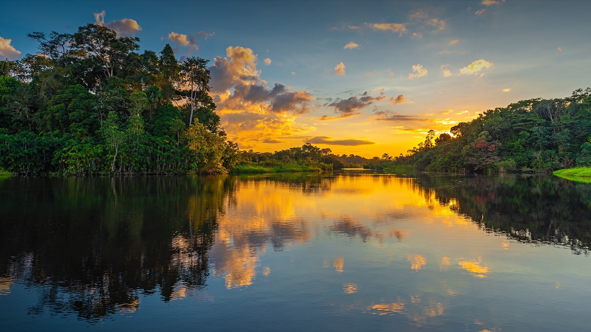nature, landscape, trees, forest, reflection, river, water, clouds, sunset, Ecuador, HD Wallpaper