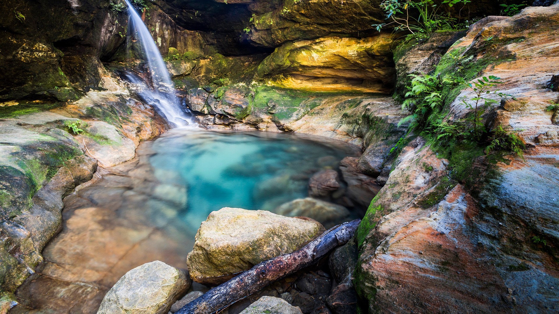 nature, rocks, water, pond, moss, plants, long exposure, clear water, Madagascar, HD Wallpaper