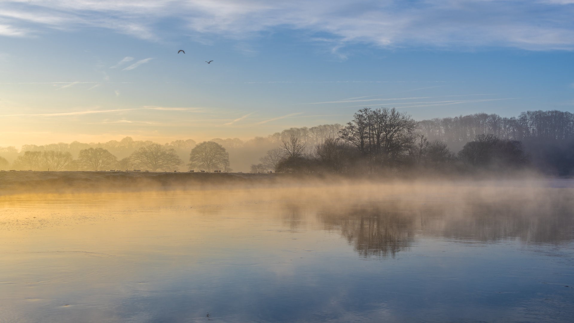 landscape, nature, river, mist, sky, trees, dawn, sunrise, HD Wallpaper