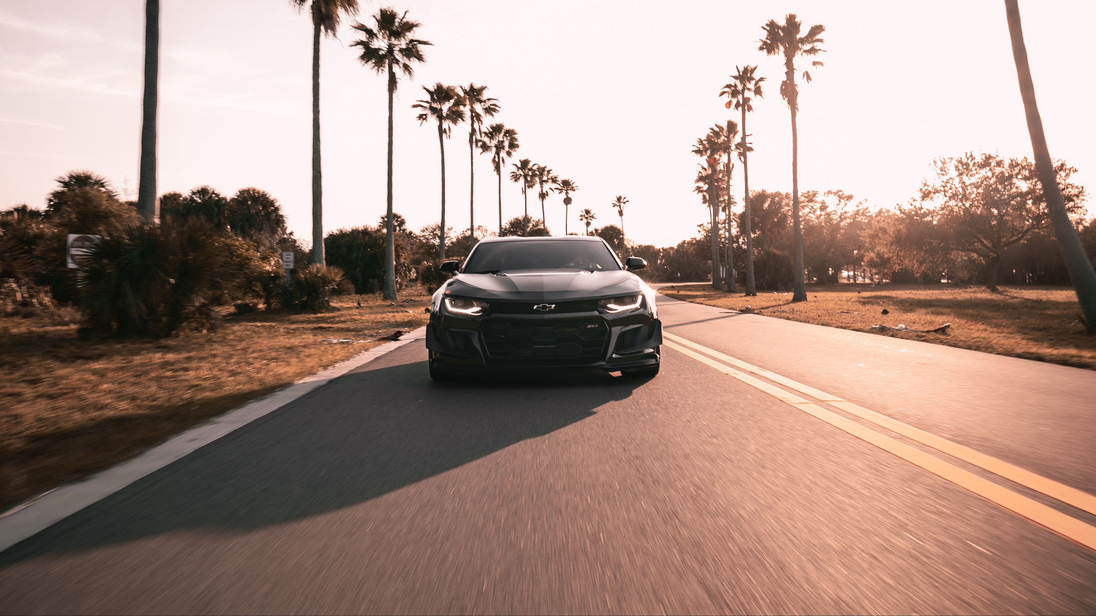 chevrolet camaro, chevrolet, black, front view, road, asphalt, palm trees, 4k, HD Wallpaper