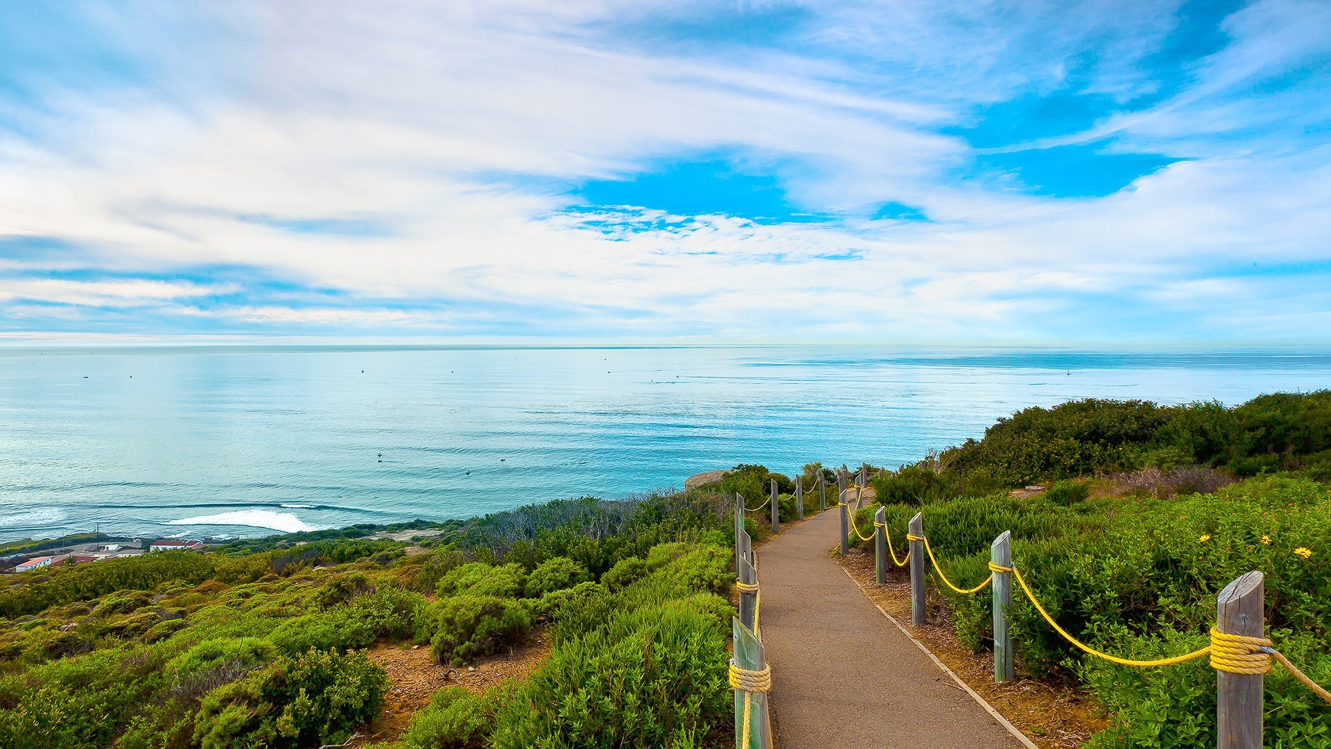 nature, landscape, clouds, sky, sea, horizon, plants, path, walkway, San Diego, California, USA, beach, HD Wallpaper