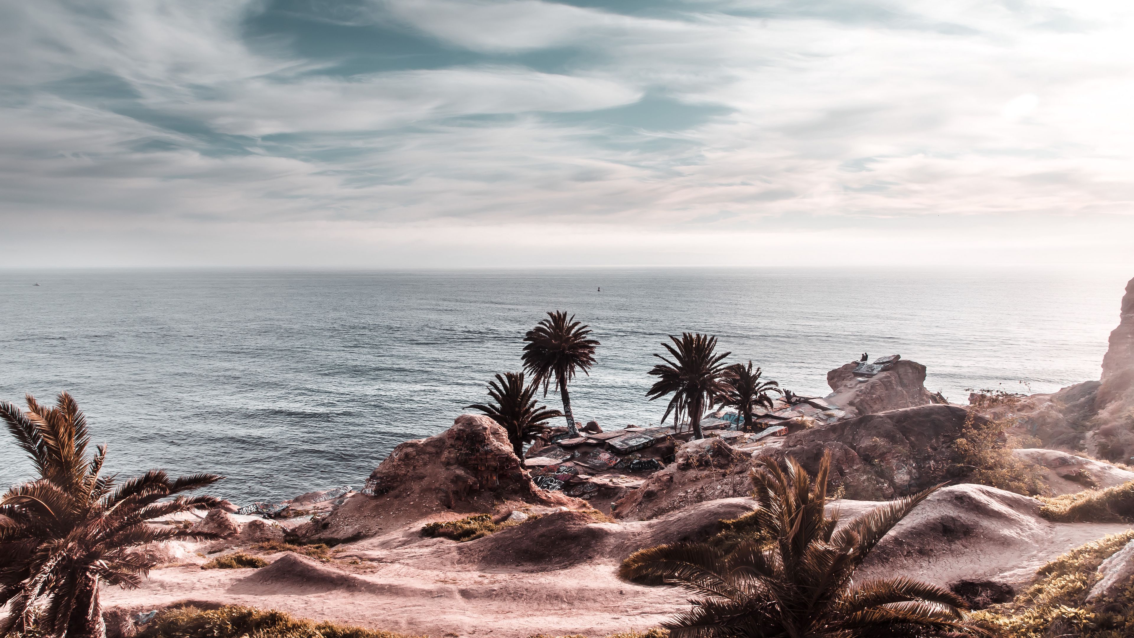 ocean, coast, palm trees, cliff, rocky, horizon, 4k, HD Wallpaper