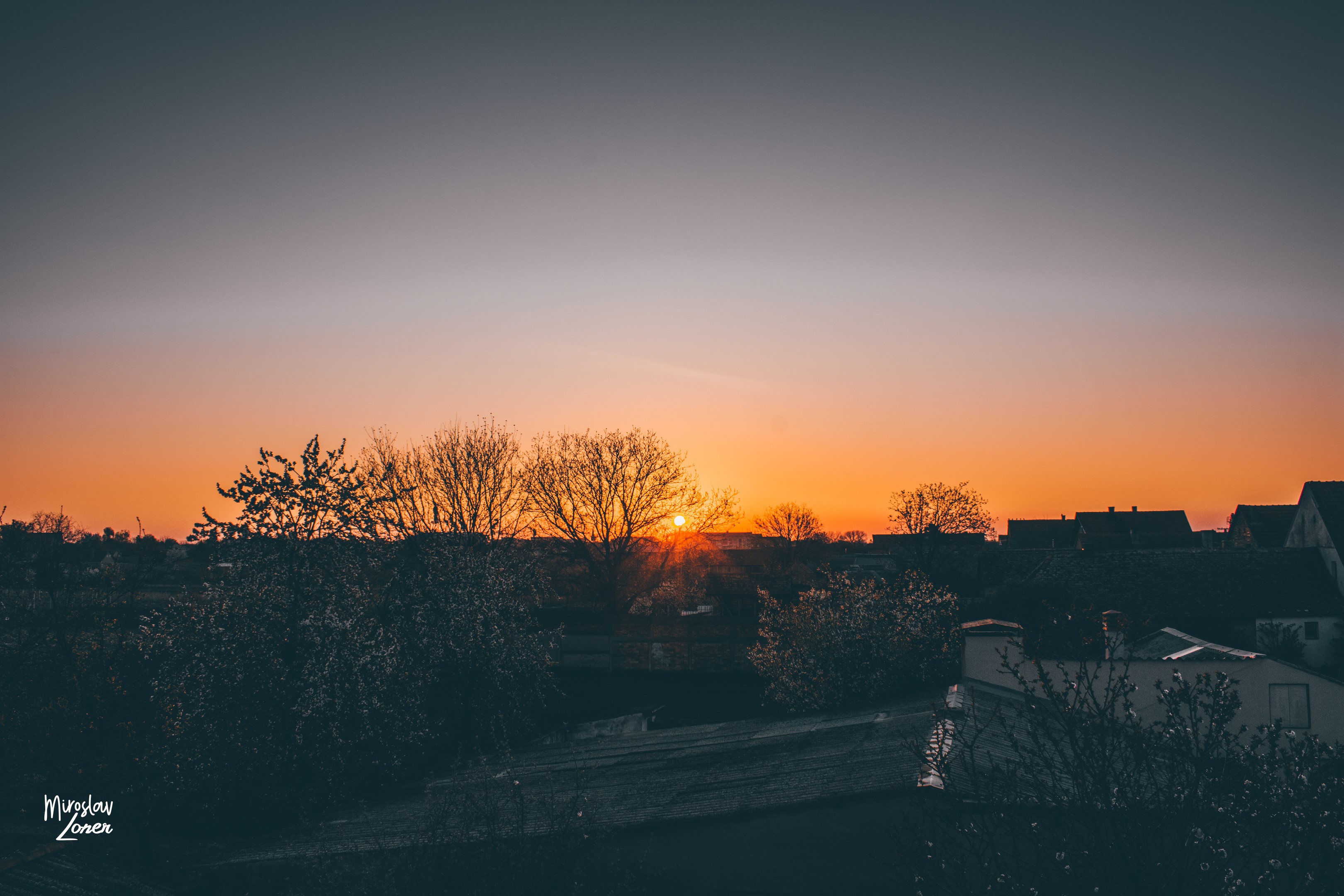 sun rays, sunrise, orange sky, spring, Serbia, nature, landscape, trees, morning, HD Wallpaper