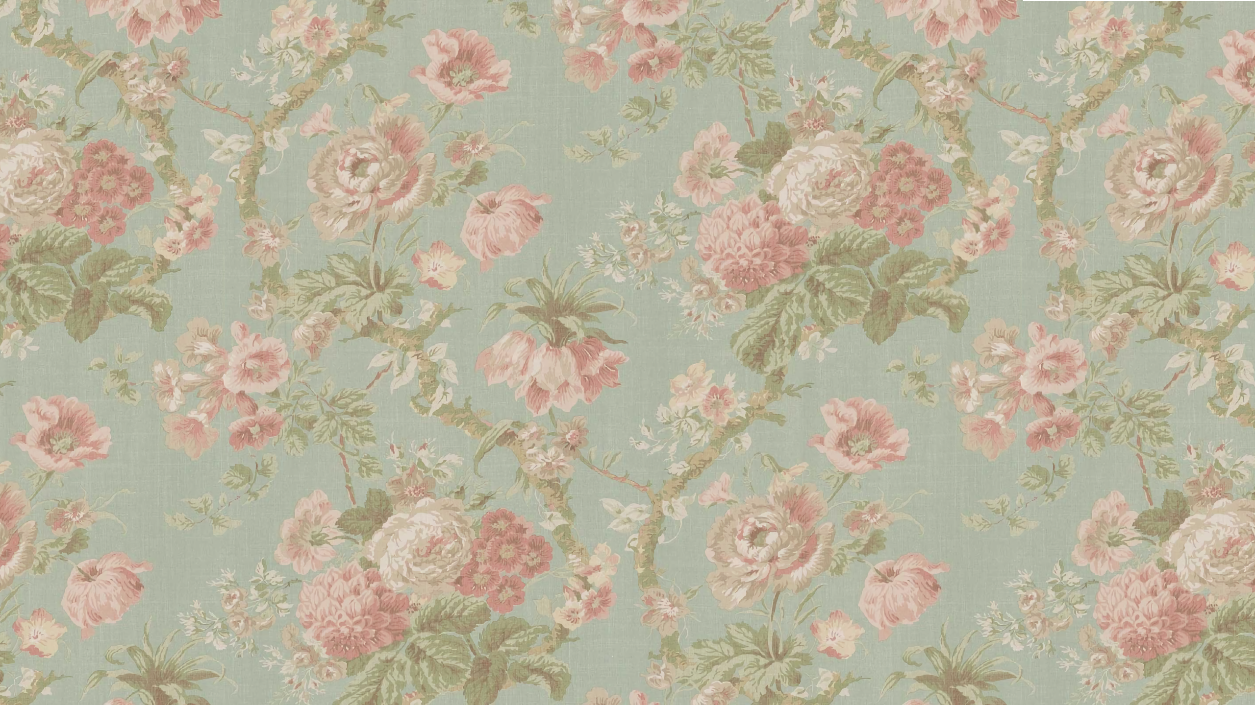 texture, pattern, roses, HD Wallpaper