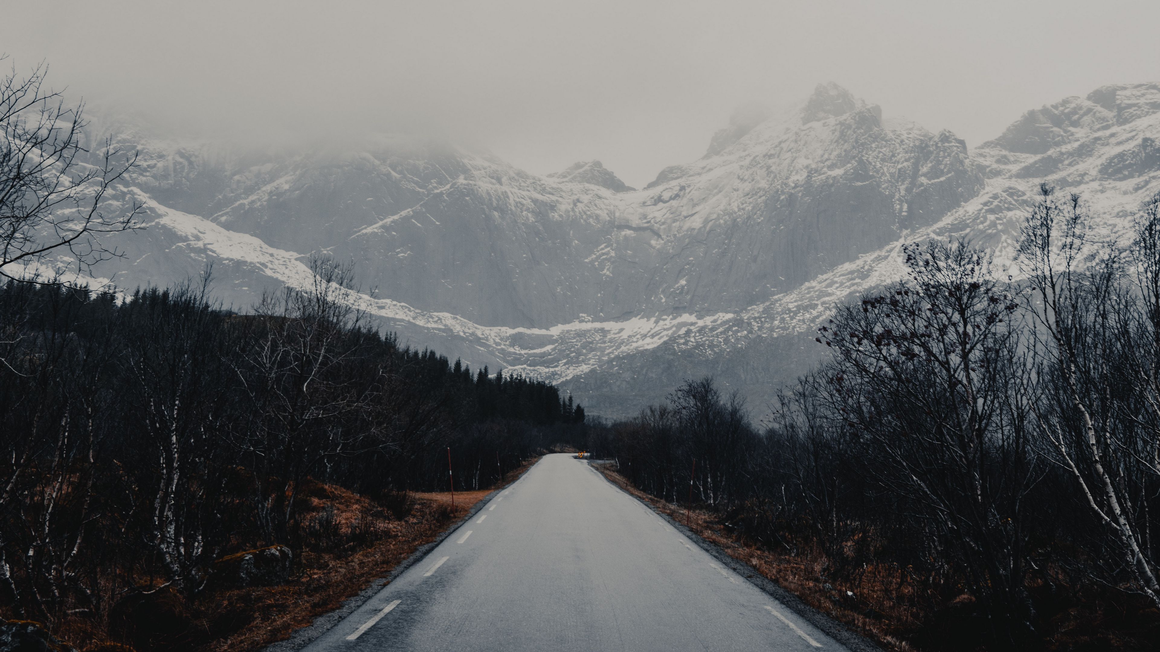 road, mountains, trees, asphalt, wet, 4k, HD Wallpaper